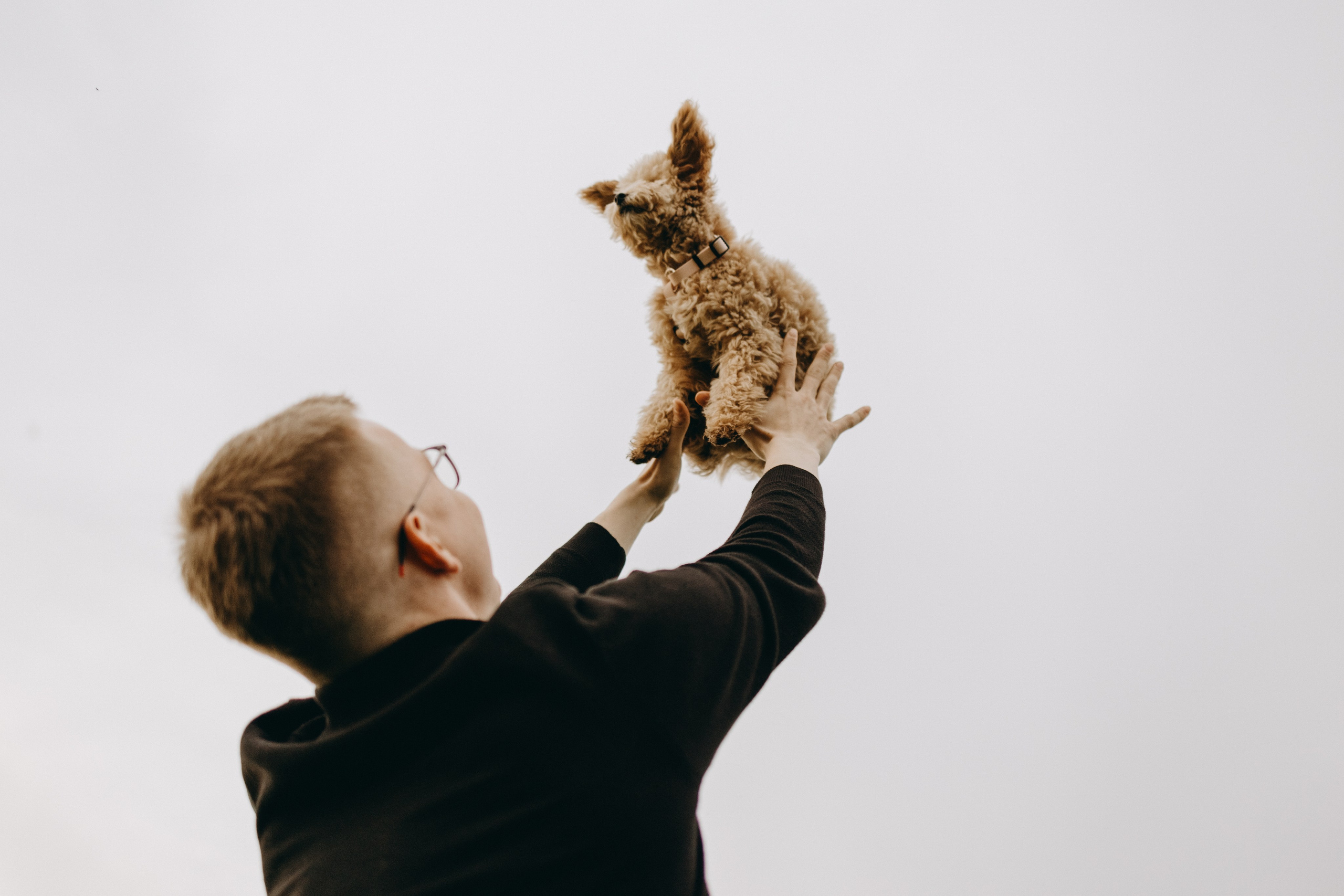 Мия и ее семья. Фотограф — Анималист | Санкт-Петербург