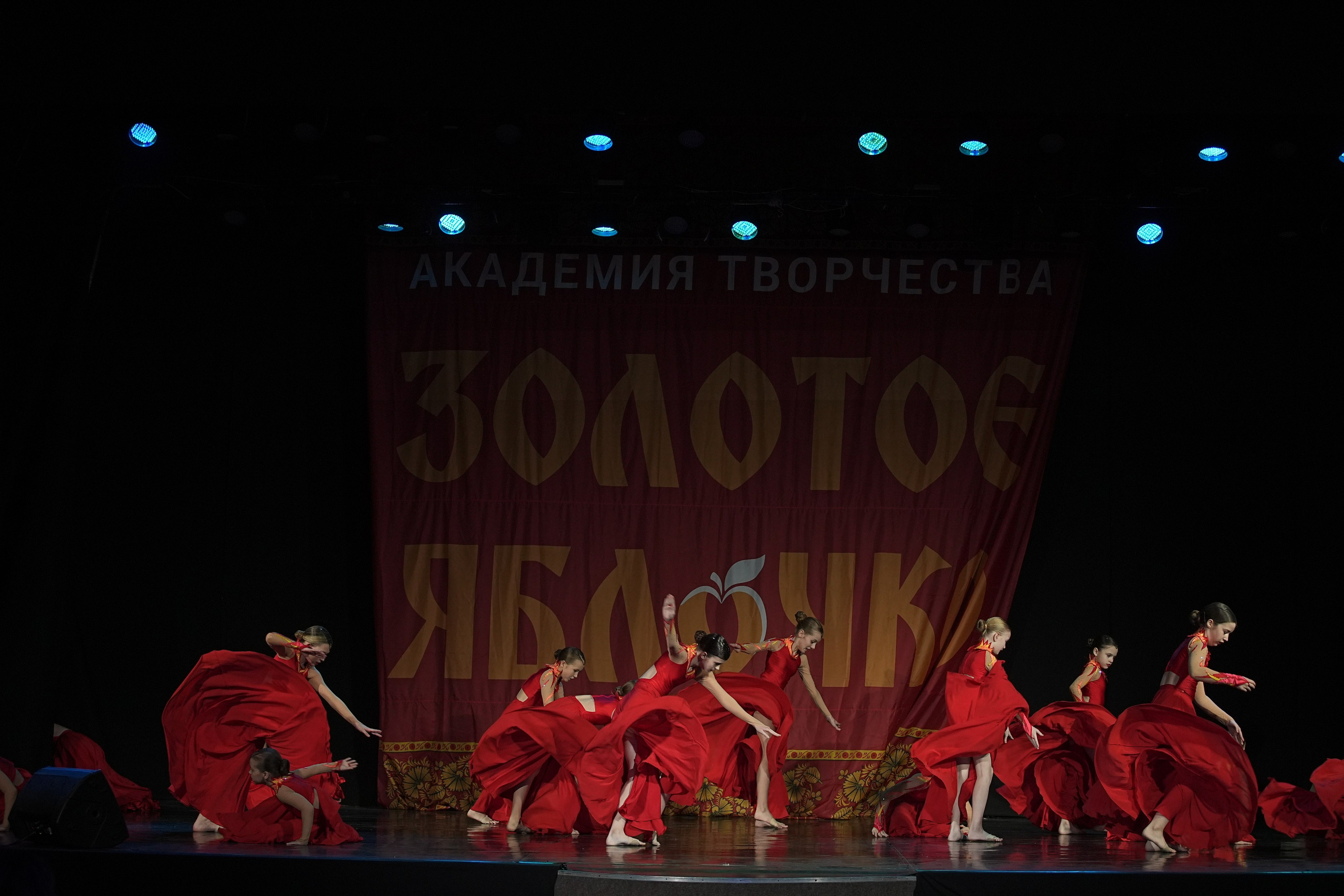 8 декабря, г. Кострома. Золотое яблочко