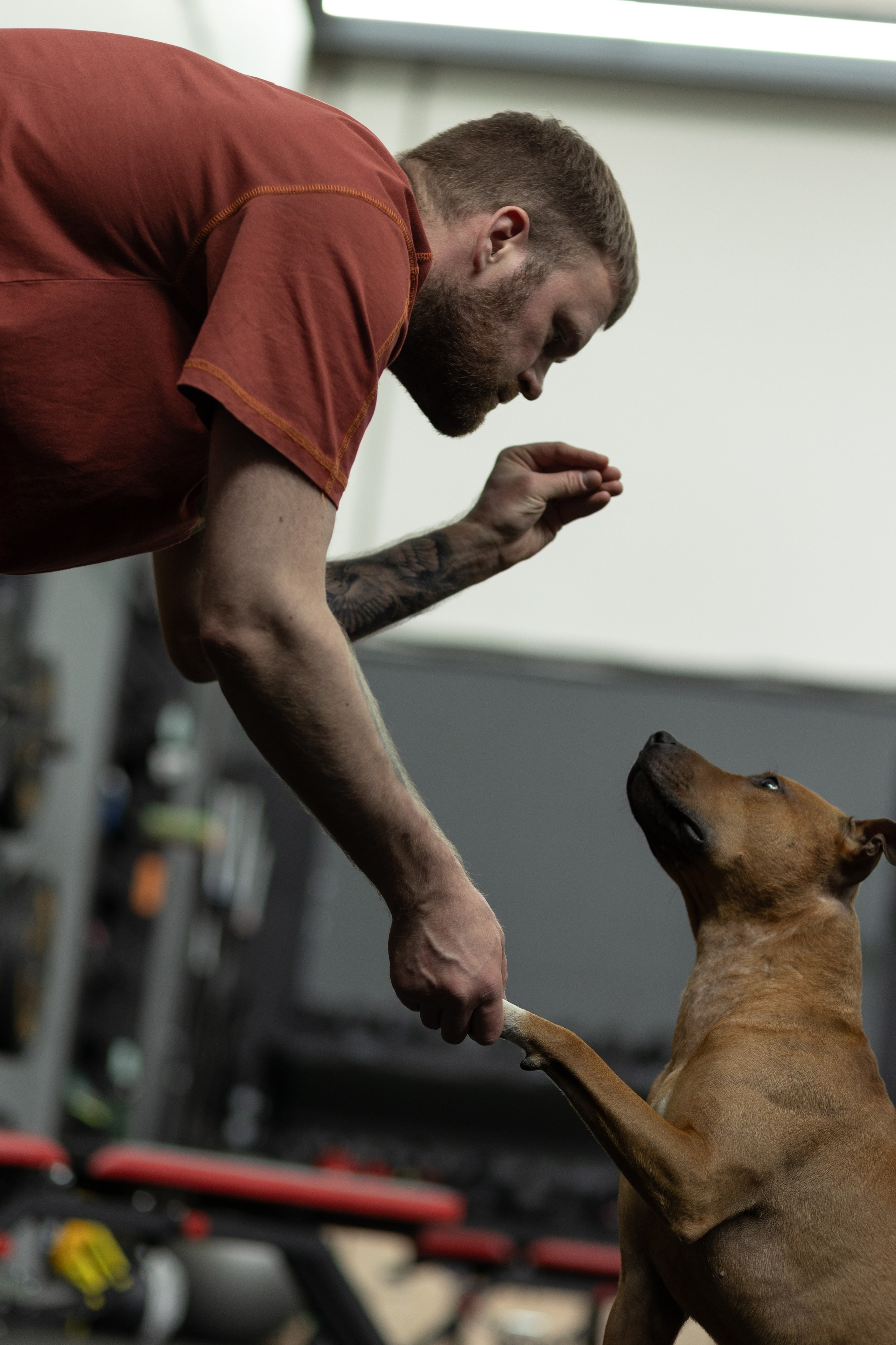 «Bupas gym» Москва 2024. Тренировка в боксерском клубе. Фотограф Алина Ионычева в Новосибирске