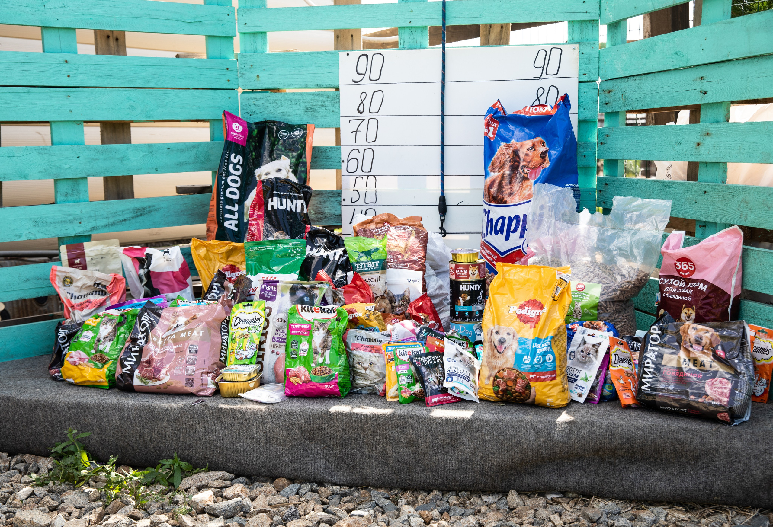 Приют — Наш дом. Репортажный и свадебный фотограф в Челябинске Елисеев Павел