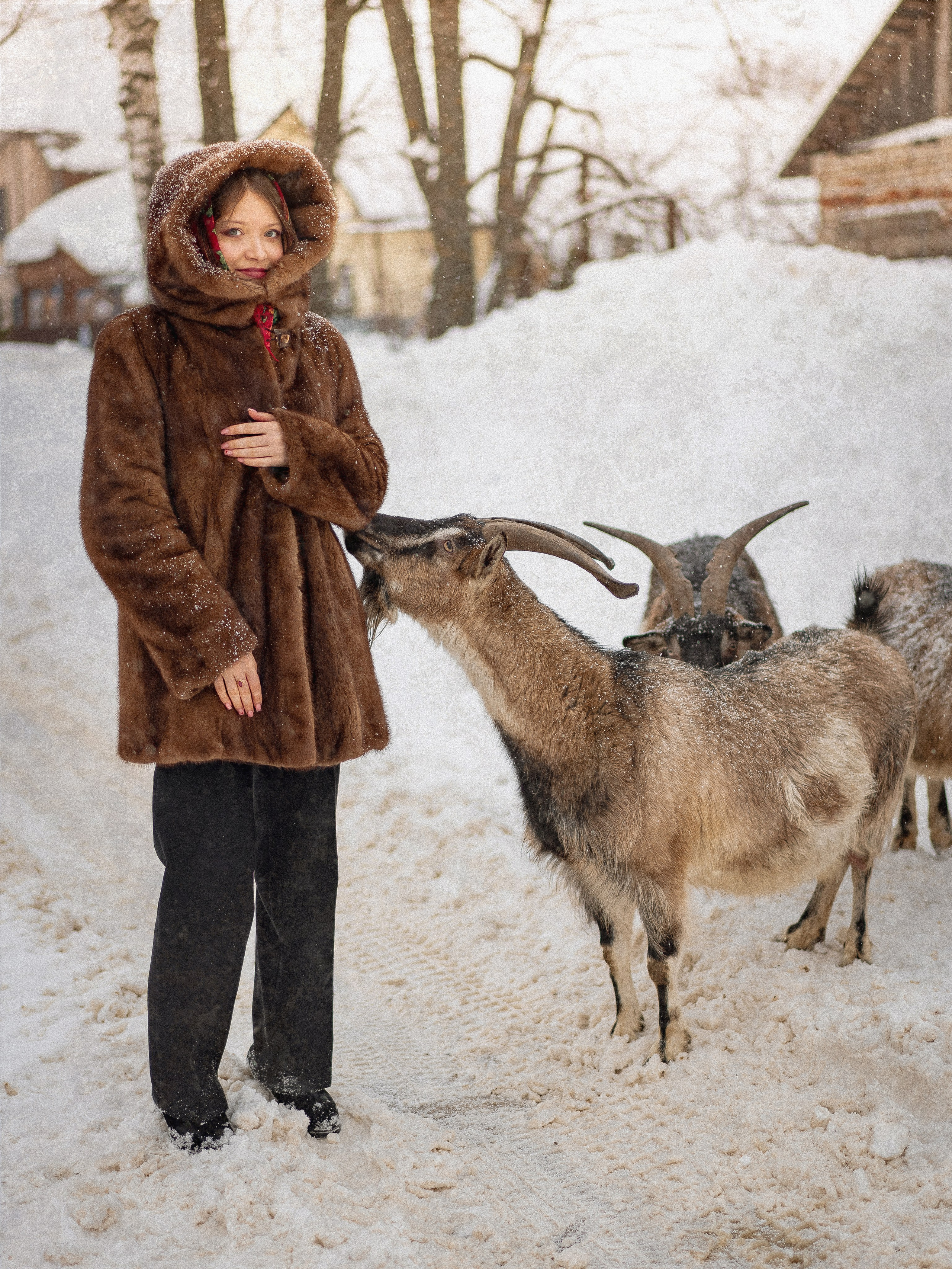 Ольга — фотосессия в зимнем стиле. Фотограф Москва
