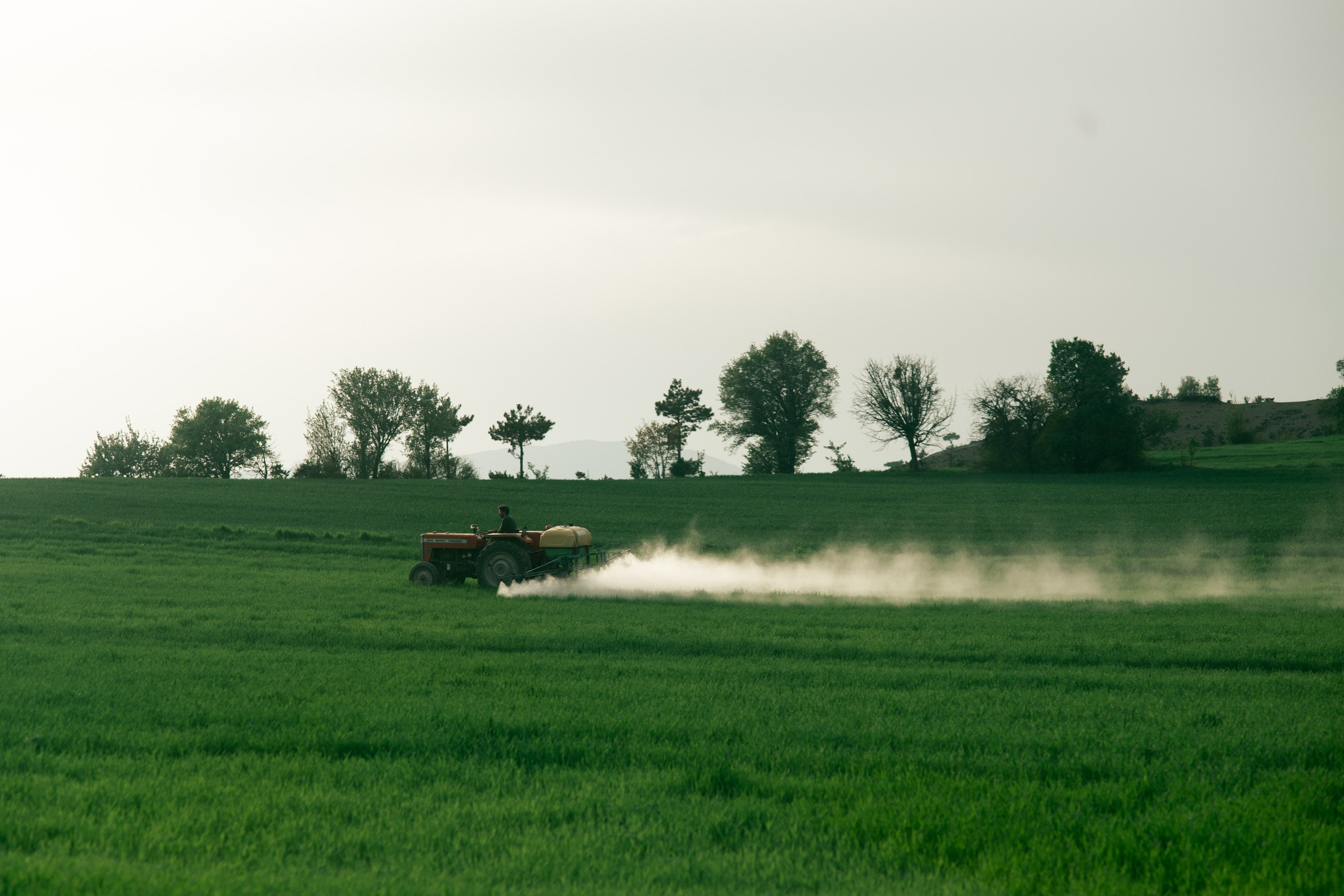 Турция. Фотограф Сергей Красильников
