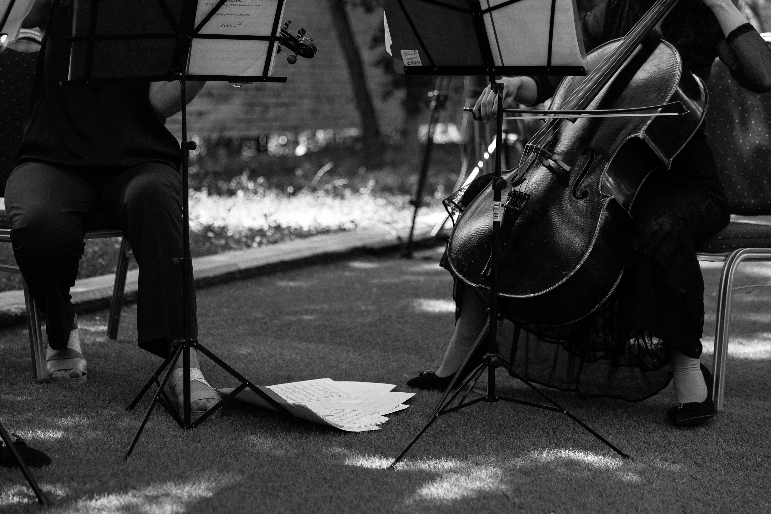 Никита & Влада. Свадебный фотограф Евгений Мирончев