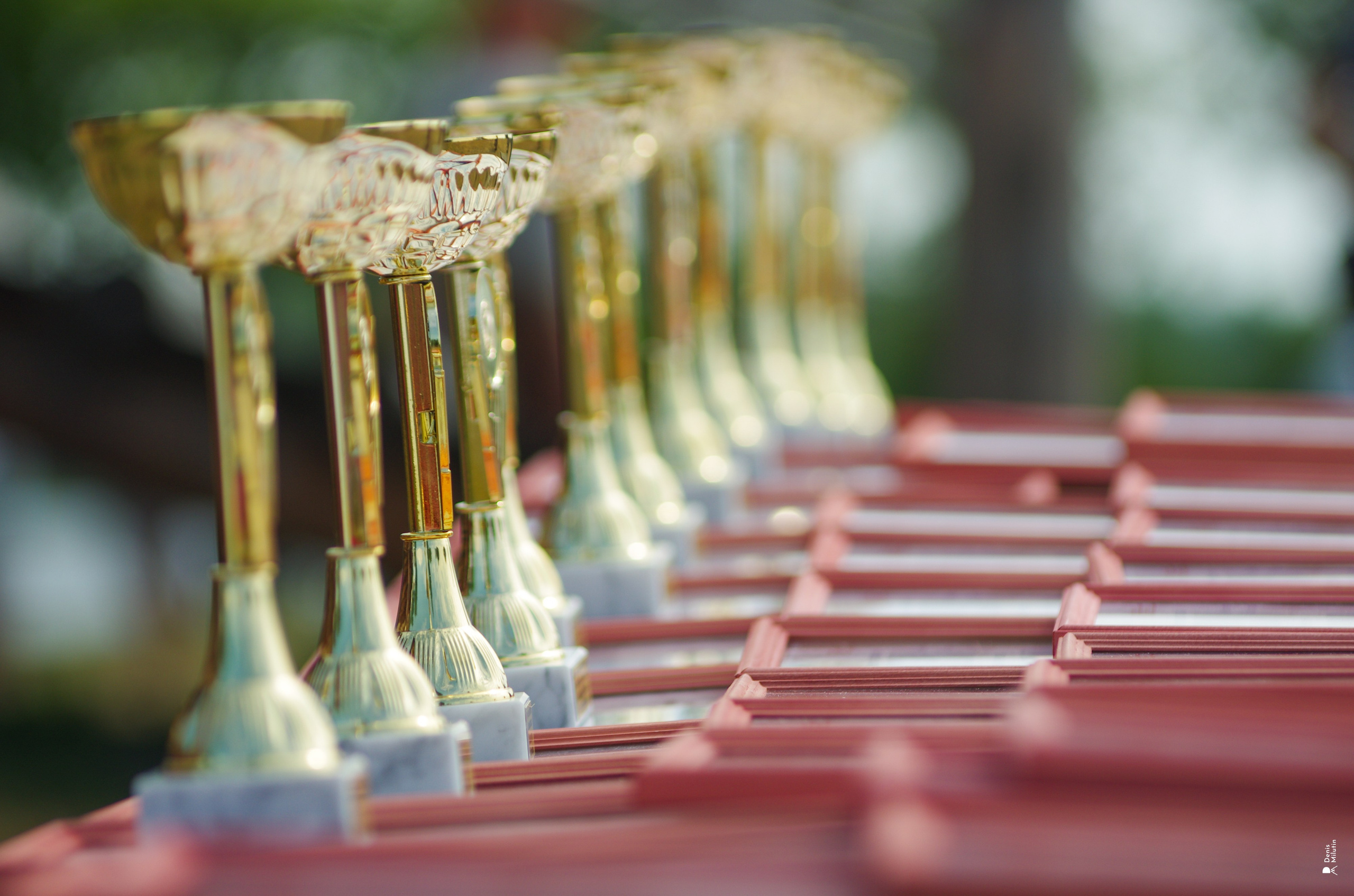 Кижская регата 2025. Портретный фотограф Денис Милютин