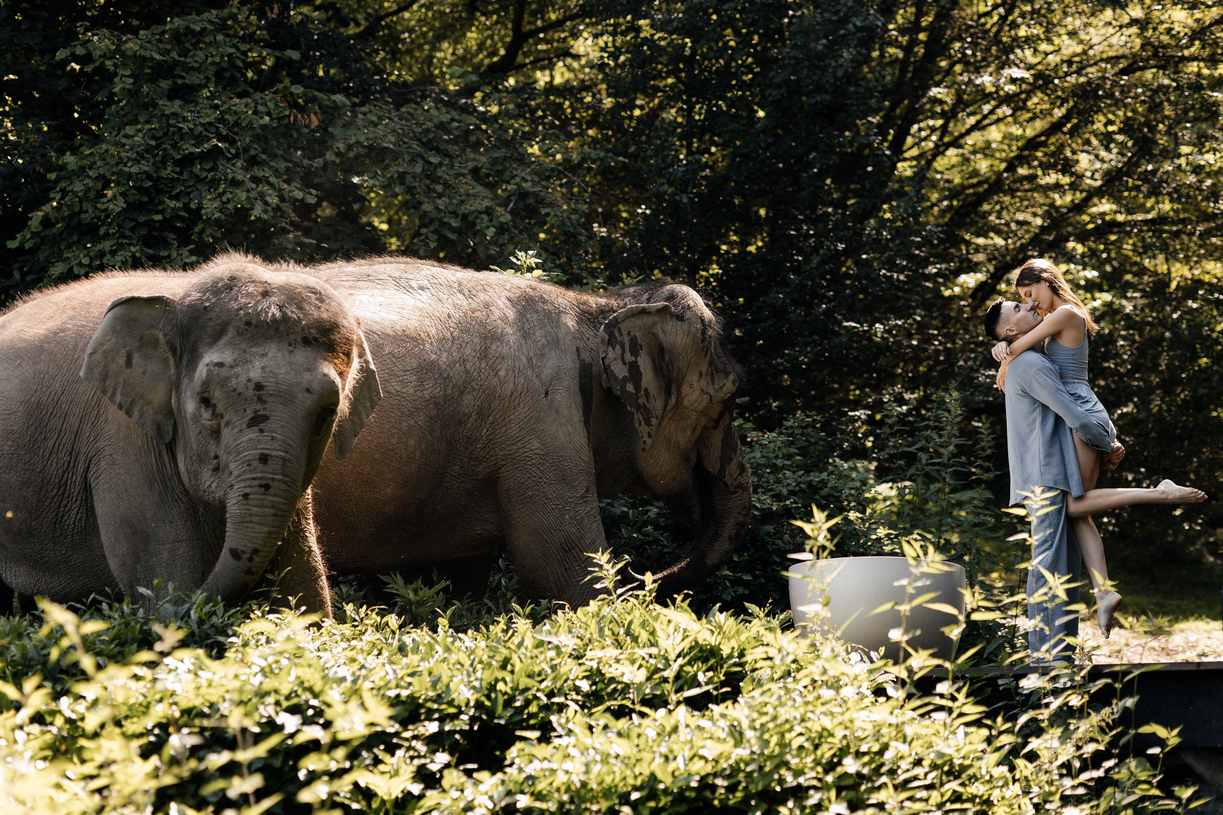 Он, она и слоны. Свадебный фотограф в Ростове-на-Дону