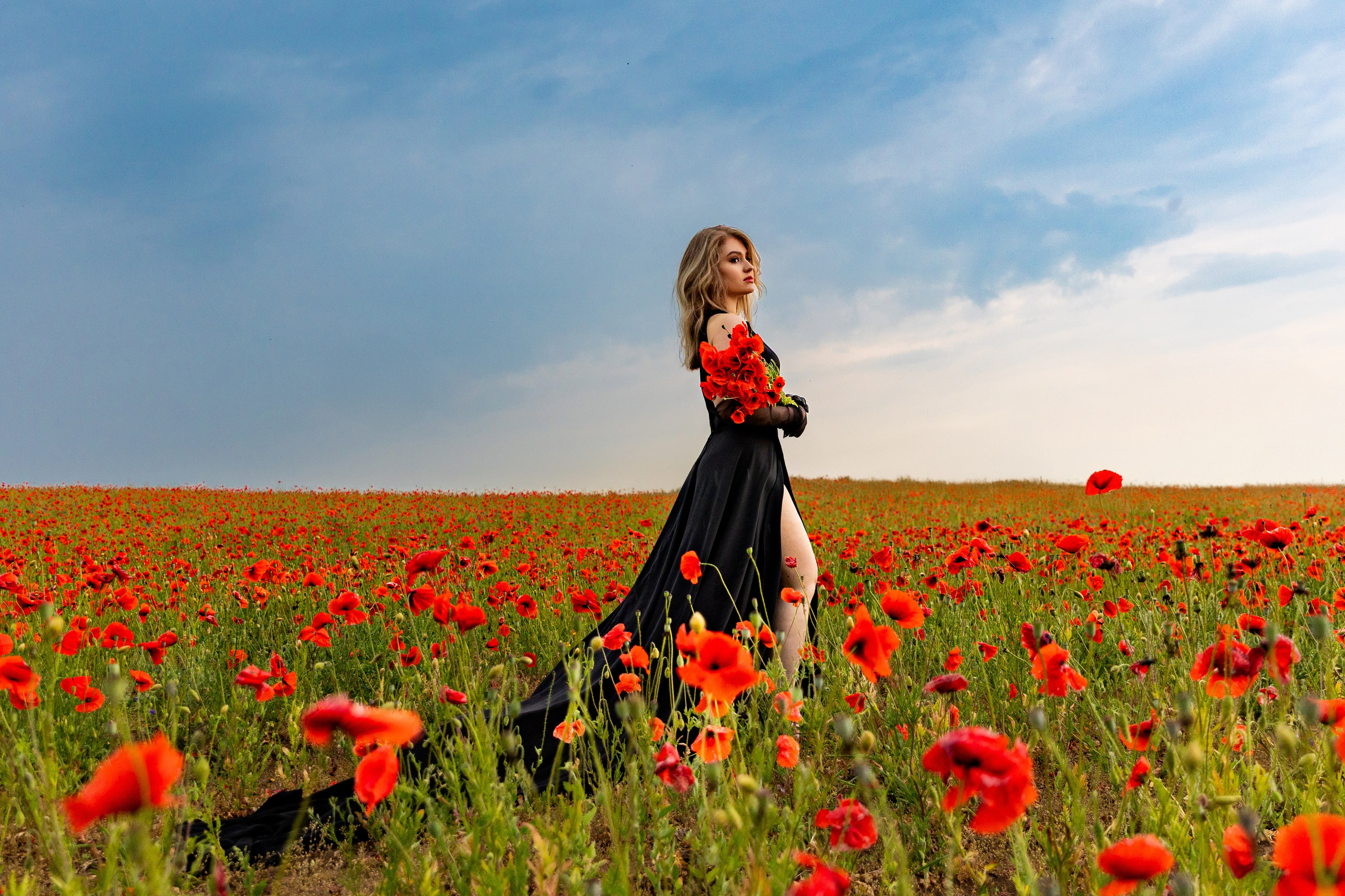 Маки. Фотограф в Санкт-Петербурге Закута Ольга