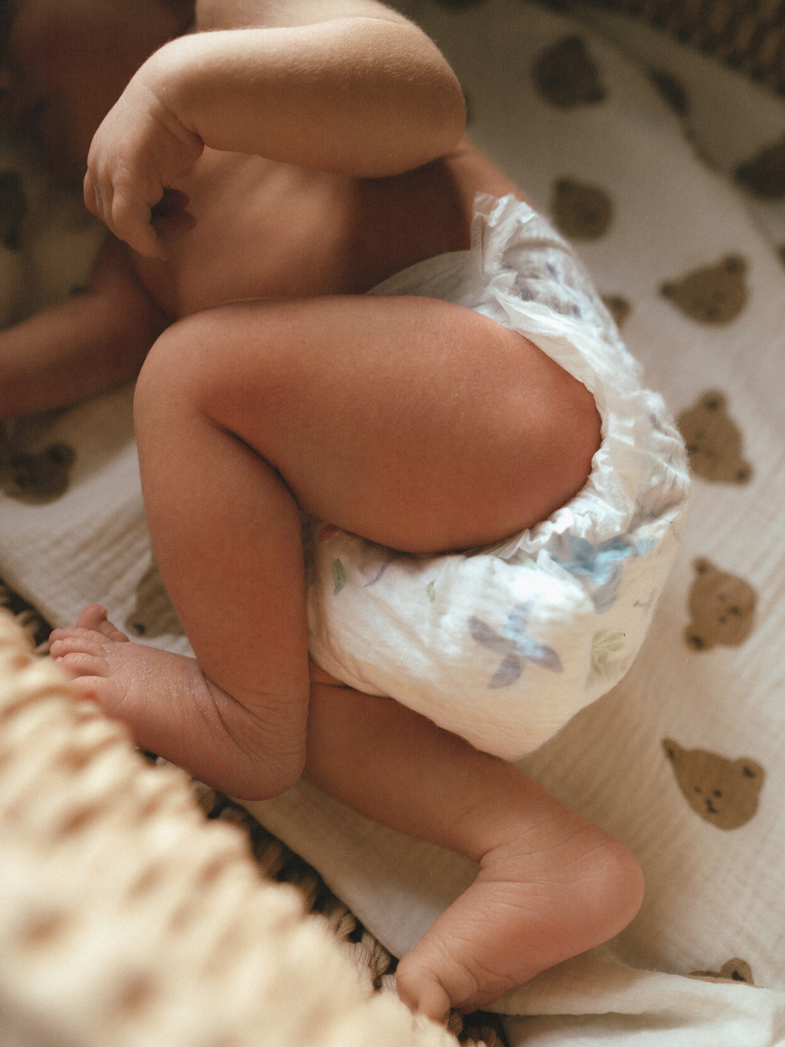 Мироша. SHILOVA PHOTO. Шилова Екатерина. Фотограф. Москва