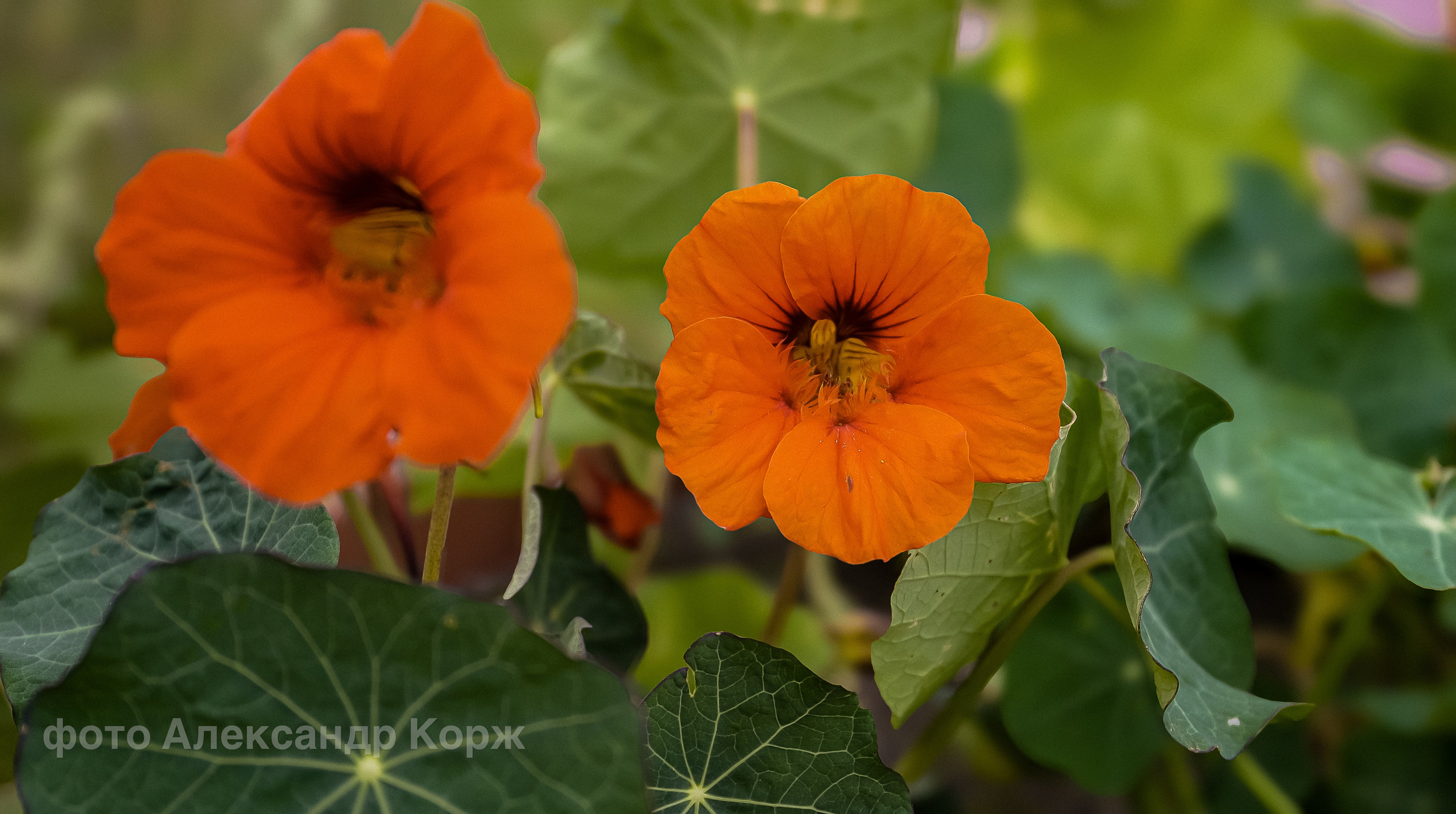 Фотографии Северного поселка Айхал. Фотографии и видеосъемка, Айхал, Удачный, Якутия. Фотографии Айхал