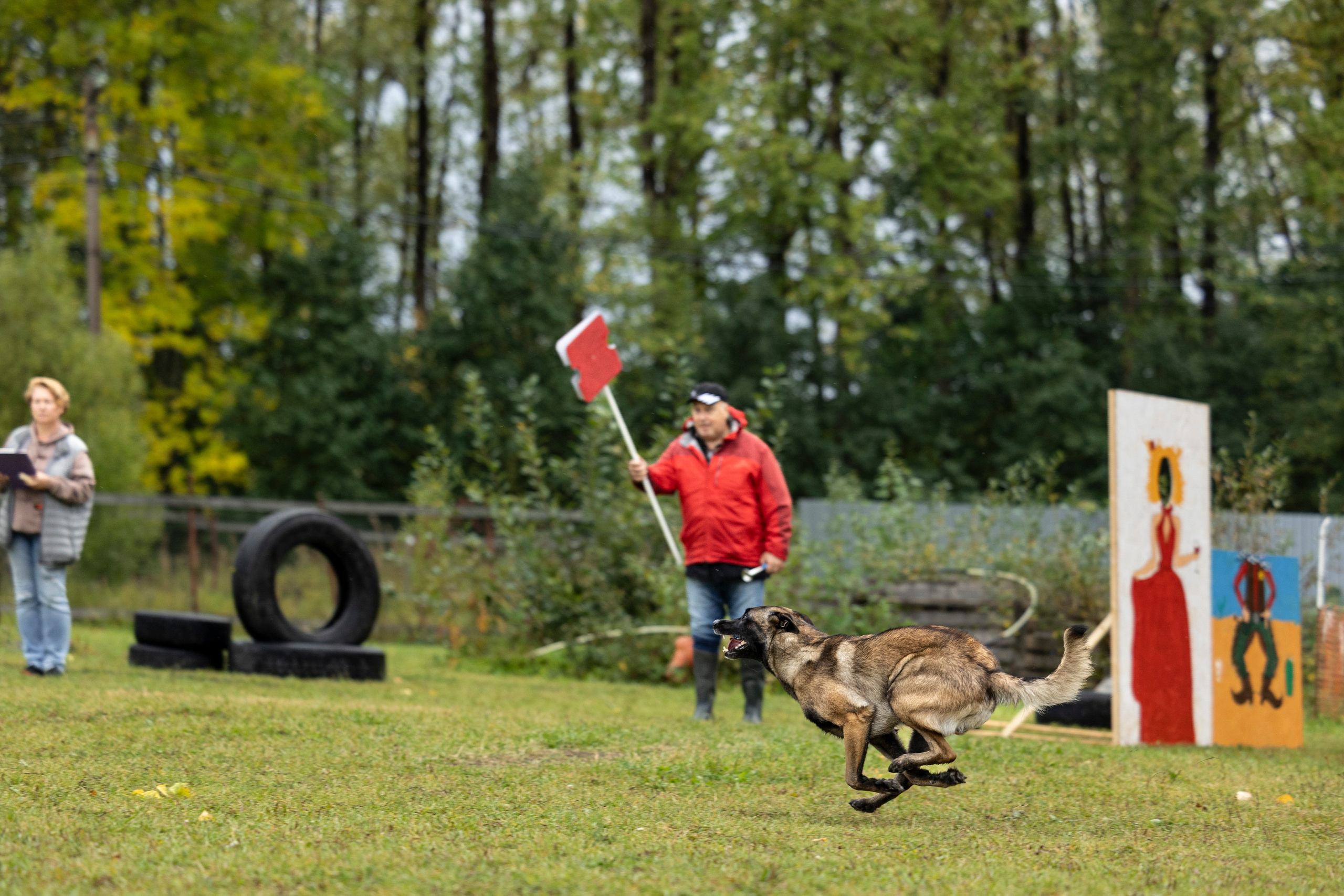 Испытания по Мондьорингу г. Пушкин. Фотограф-анималист Анна Маринич
