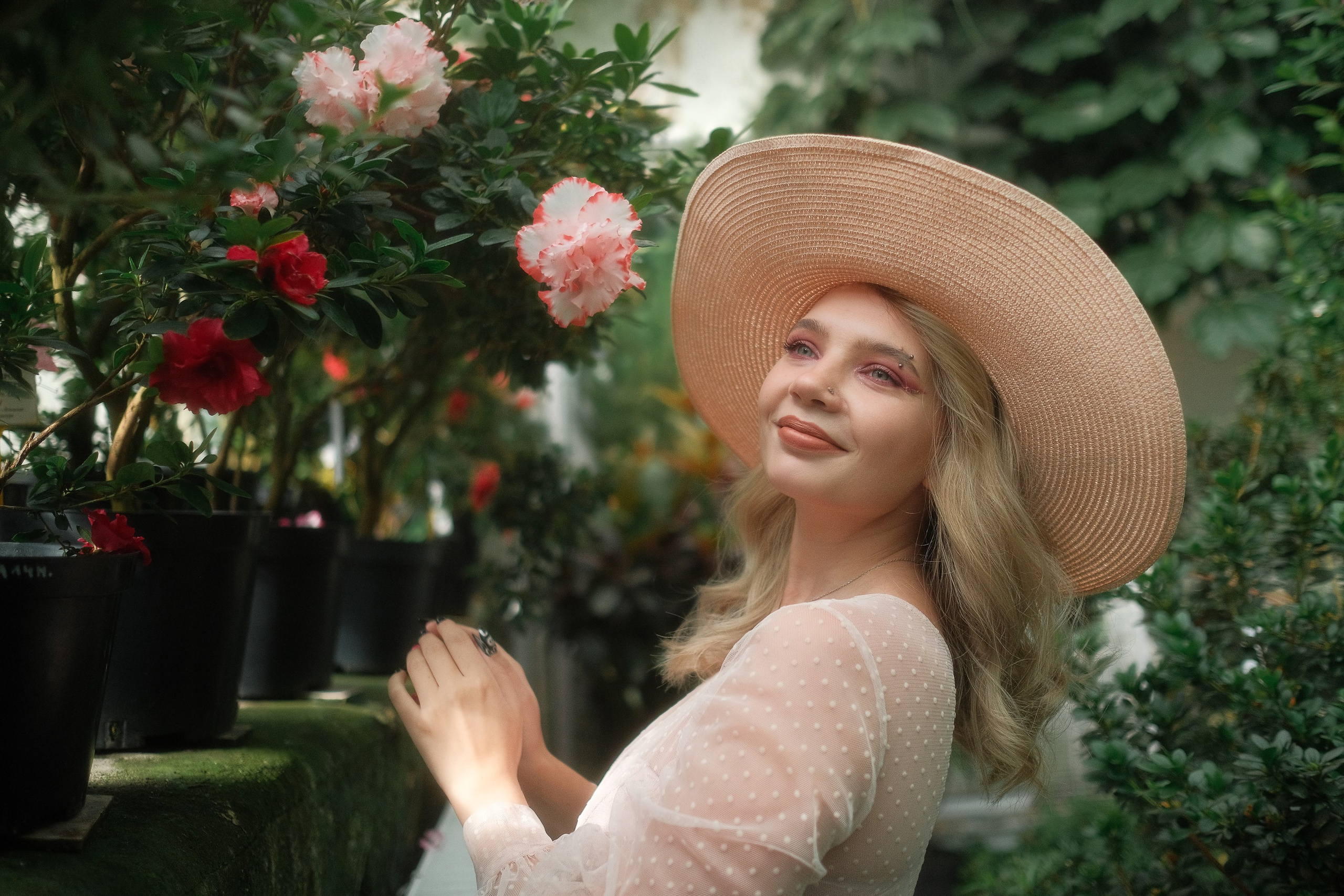 Greenhouse. Aleksandr Schafft