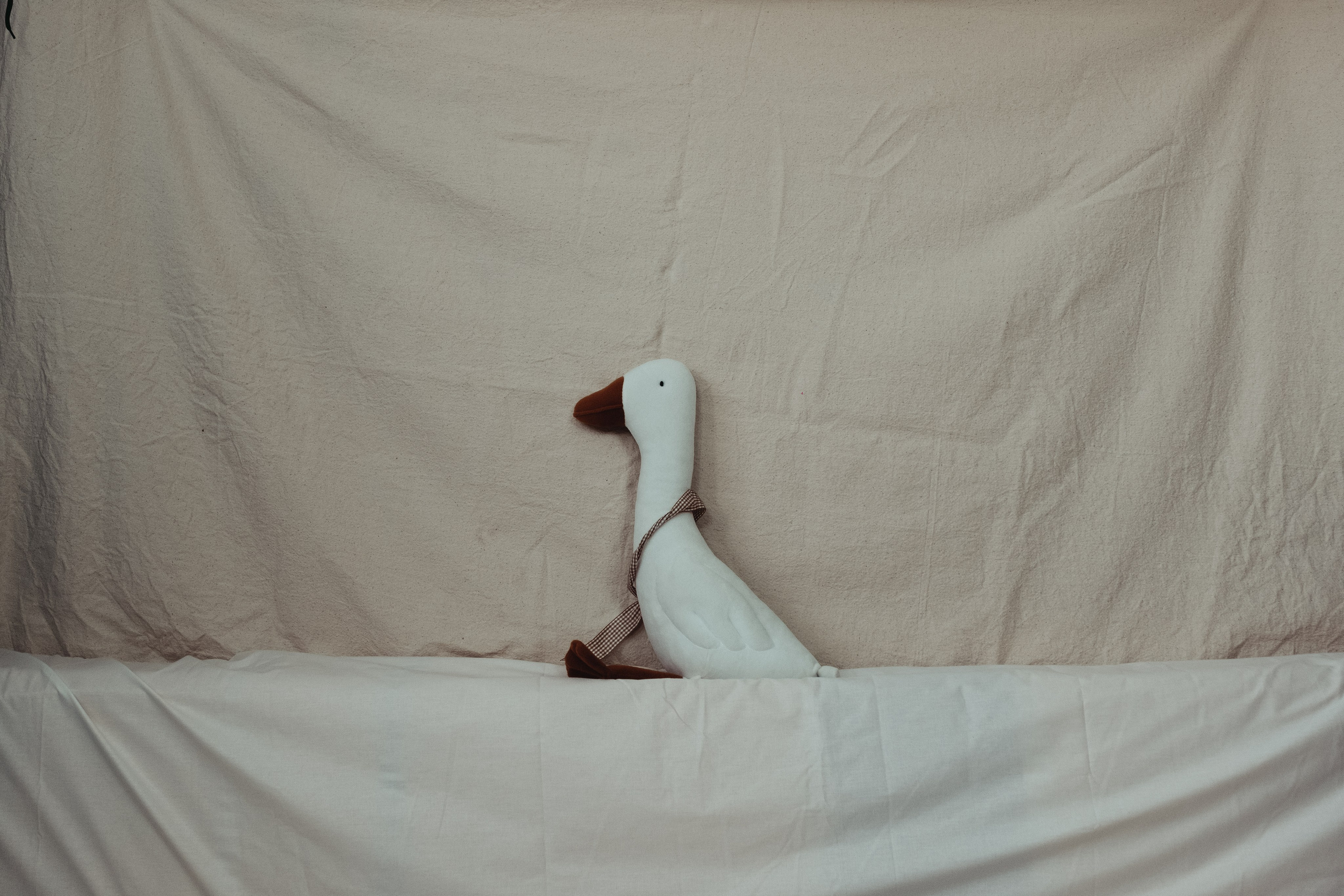 Домашняя фотосессия. Сайт фотографа в Саратове