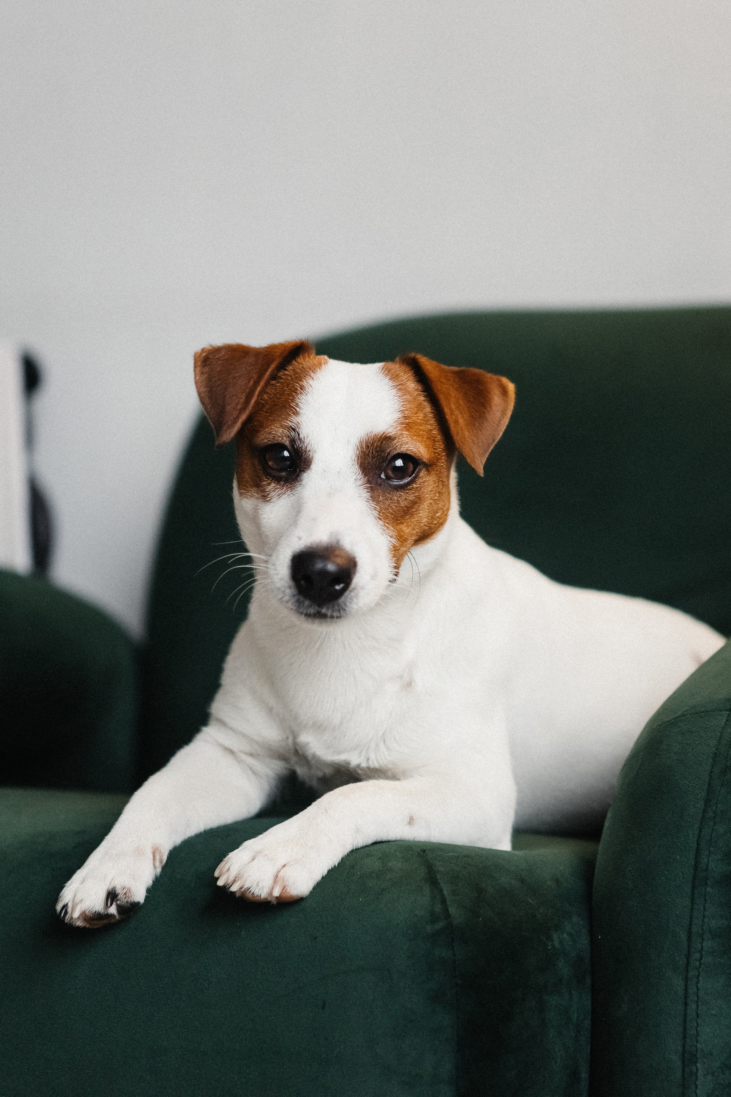 2024.03.24 Танюша, Руслан и Боба. Ирина Бешляга. Фотограф в Москве и по всей России