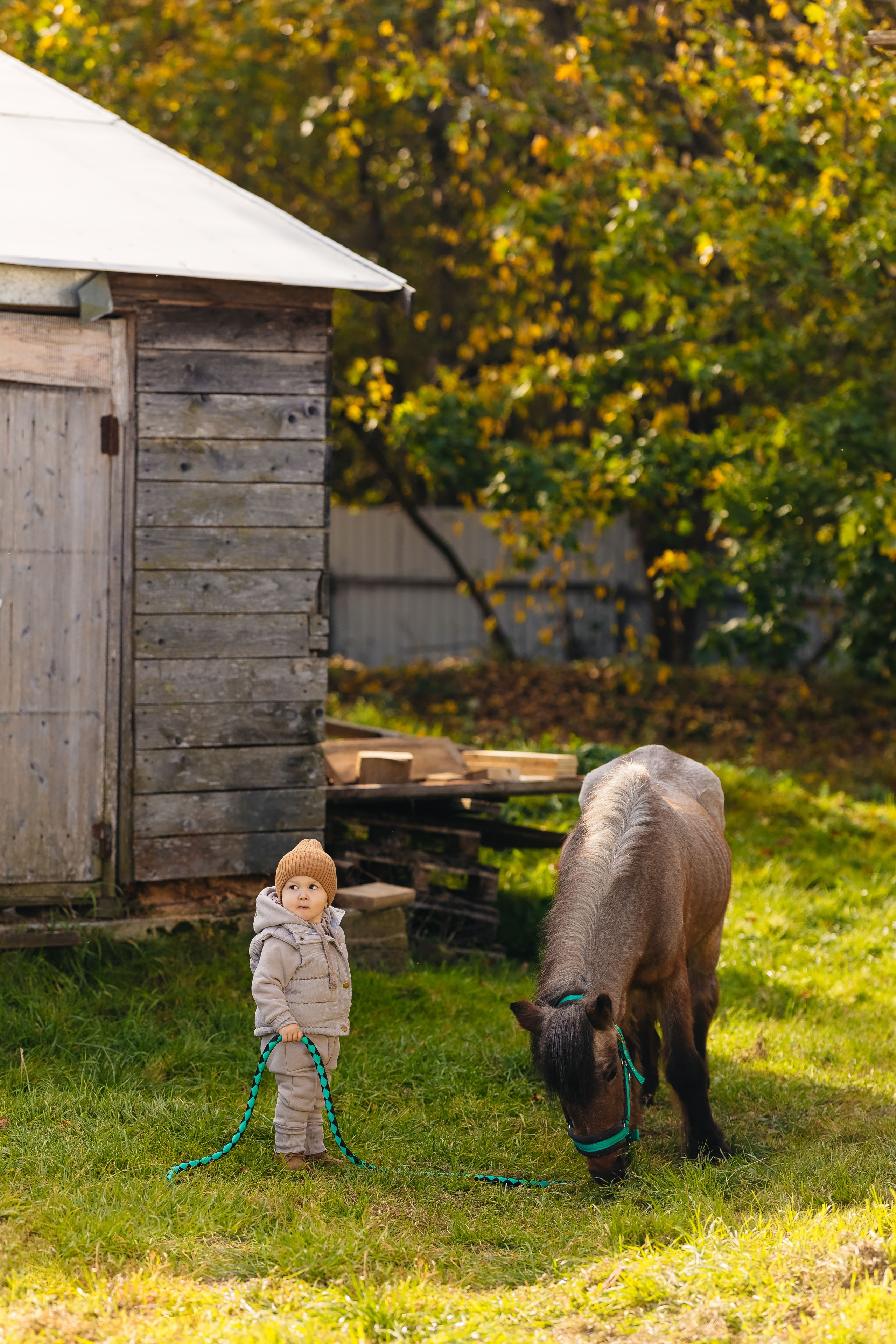 2024.10.02 Илья и лошадка. Ирина Бешляга. Фотограф в Москве и по всей России