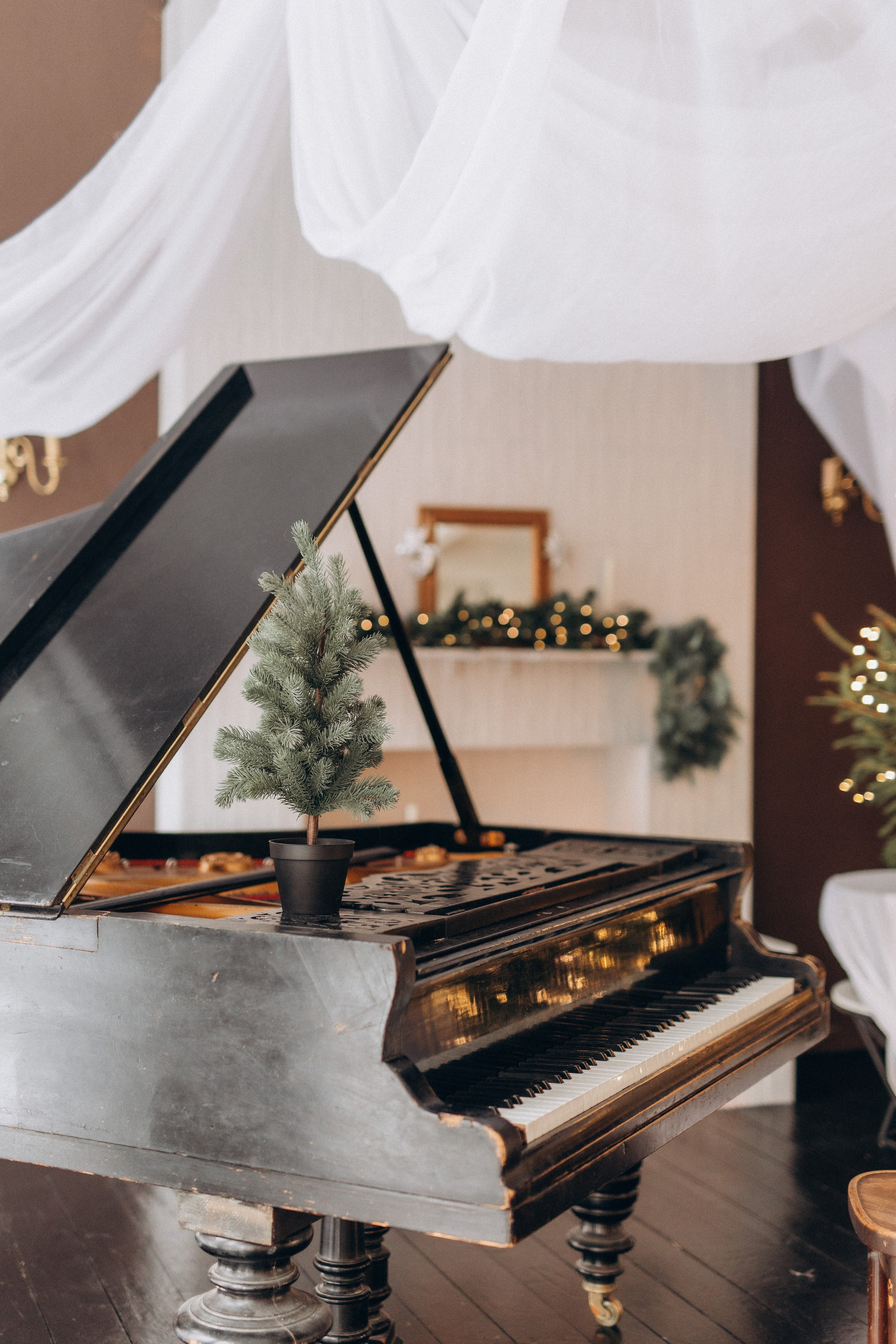 Дарья. Фотограф Анастасия Петрова