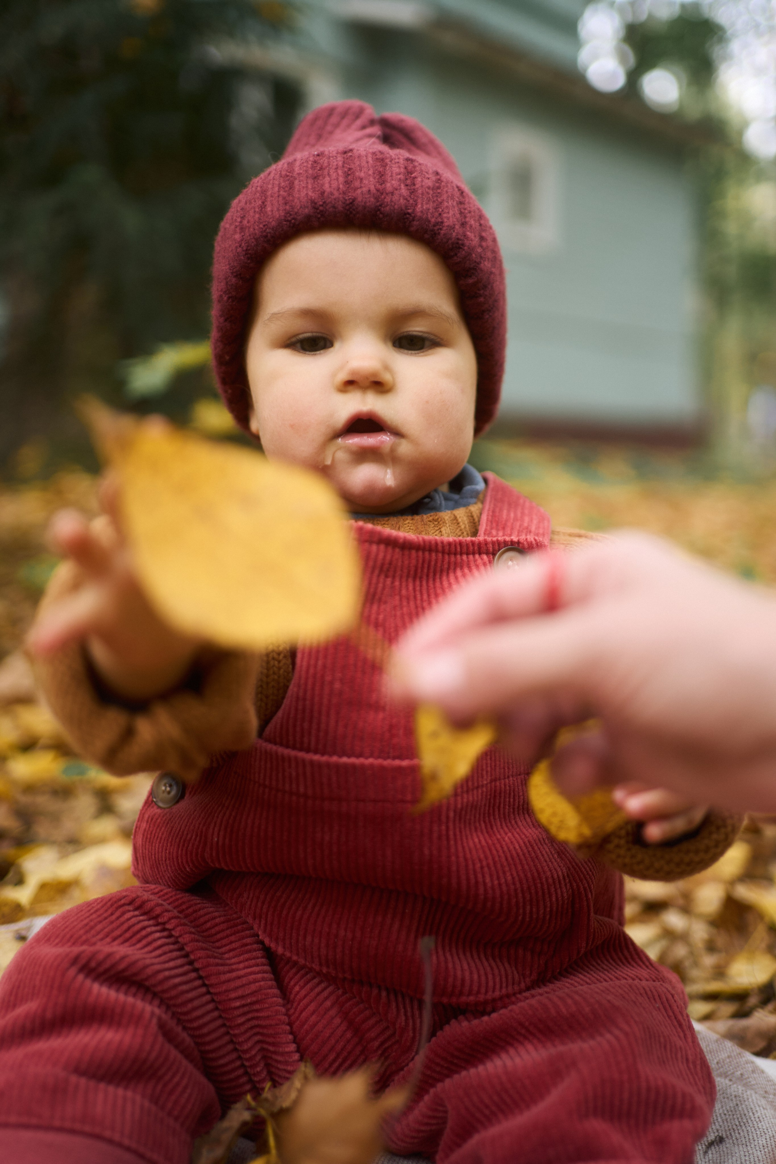 Первые шаги. Фотограф анималист Москва Дарья