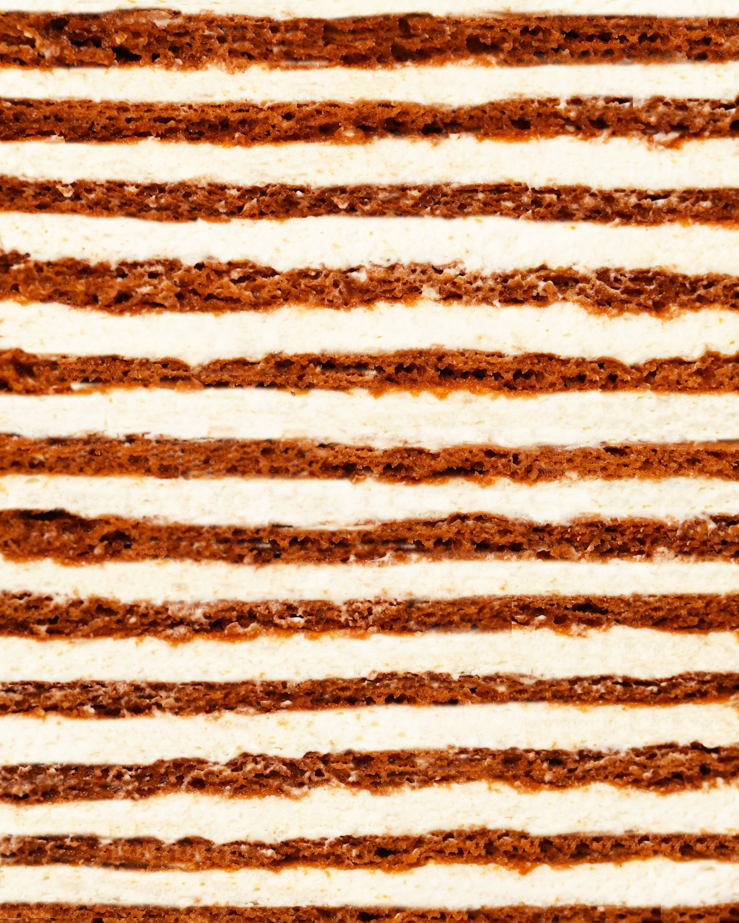 Sama Atelier. AMODEO STUDIO