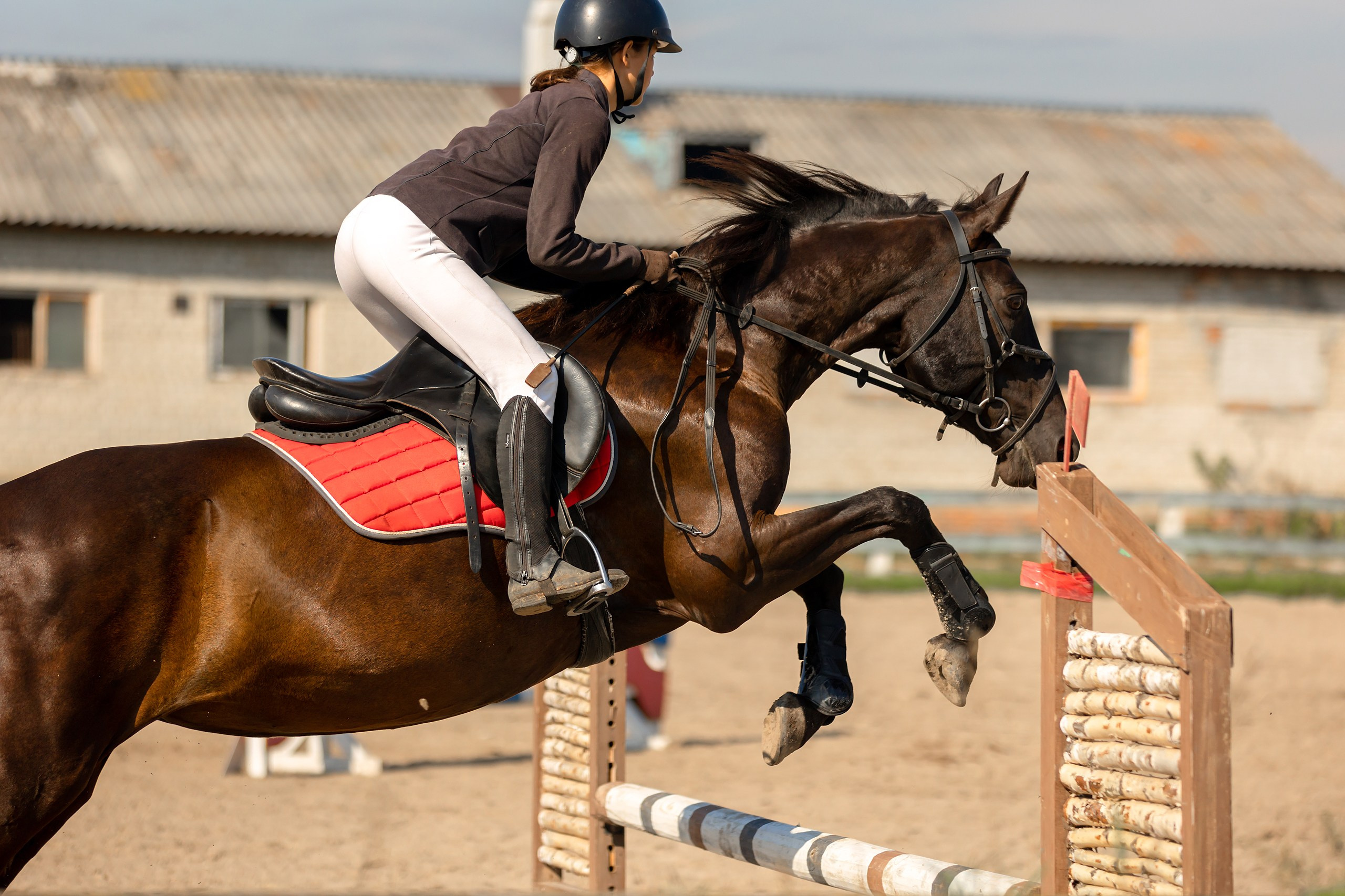 Соревнования по конному спорту. Конный фотограф Валынкина Лера
