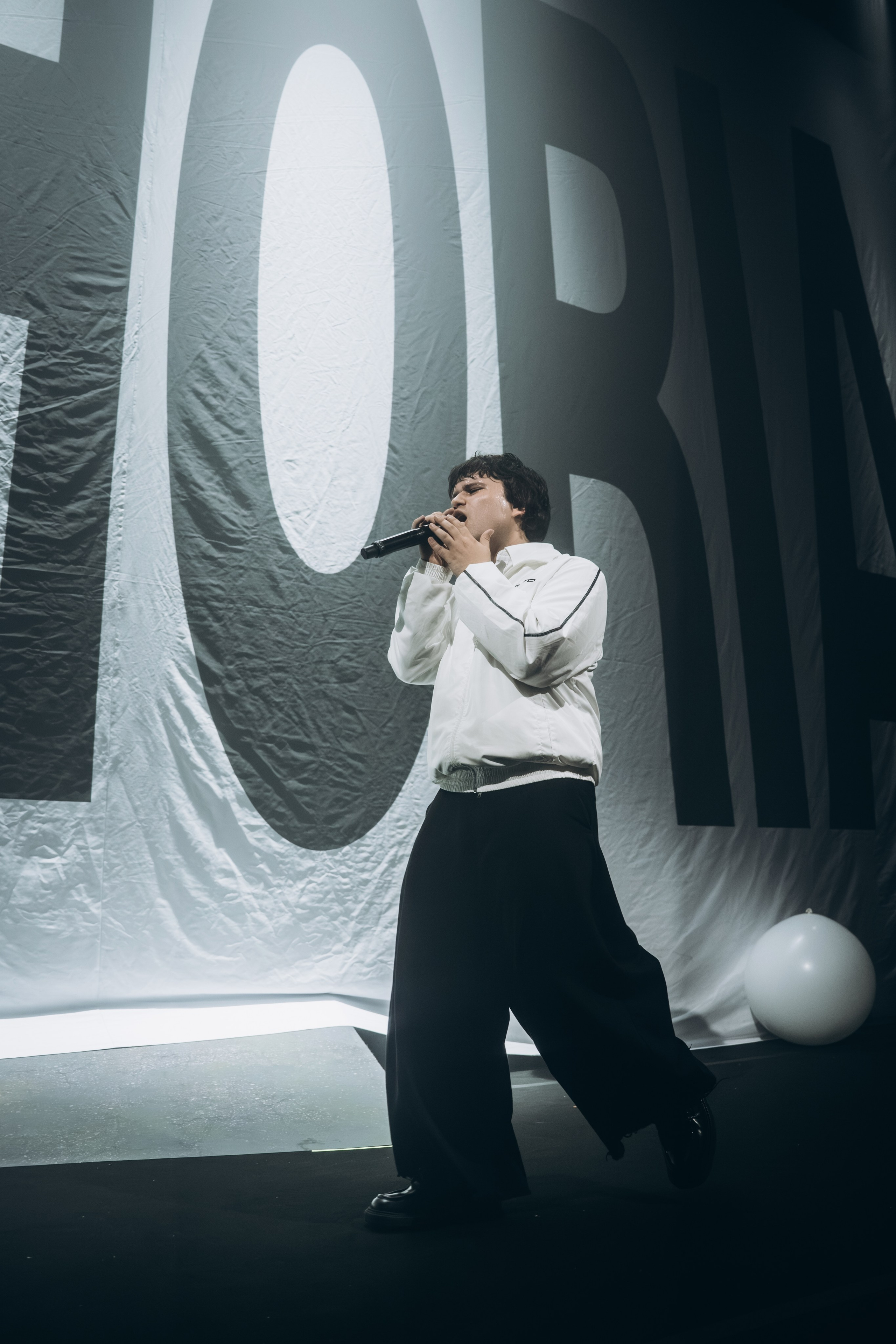 SALUKI. Фотограф Санкт-Петербурга