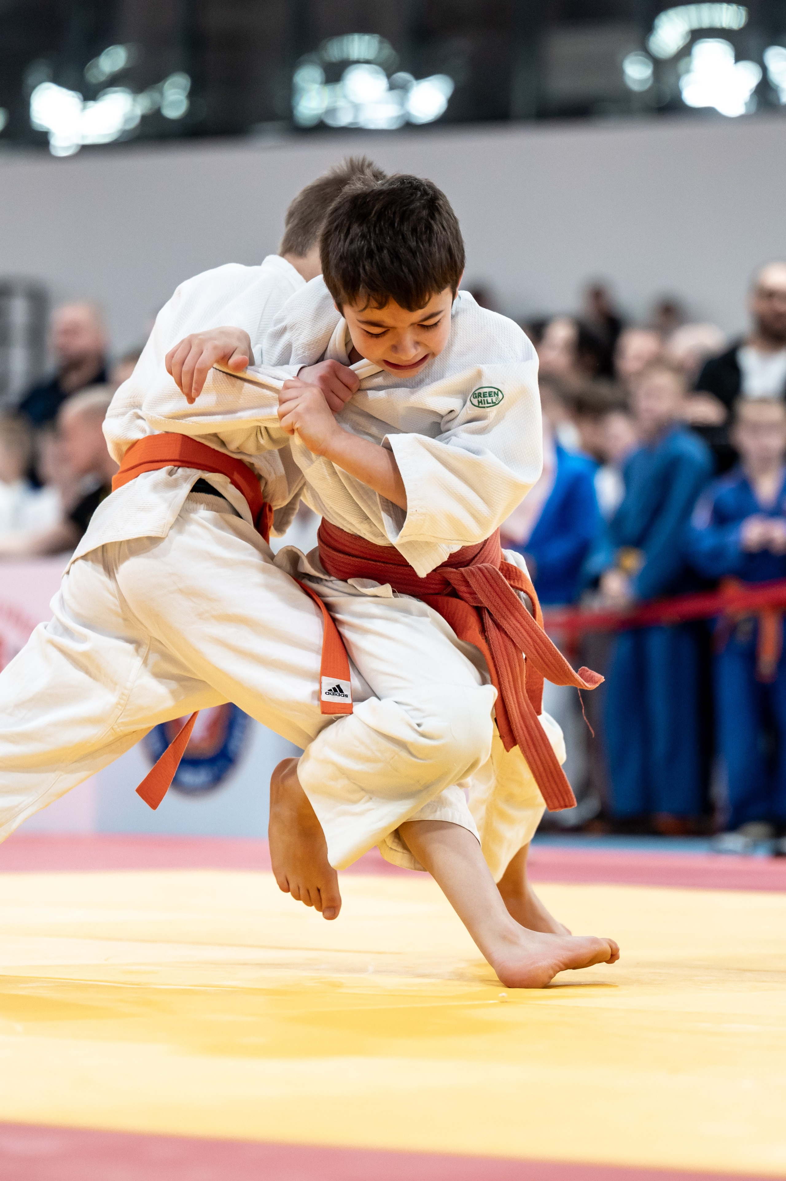 Новогодний турнир по дзюдо. Январь 2024. Спортивный фотограф в Туле и Тульской области. Файсханова Фото Спорт