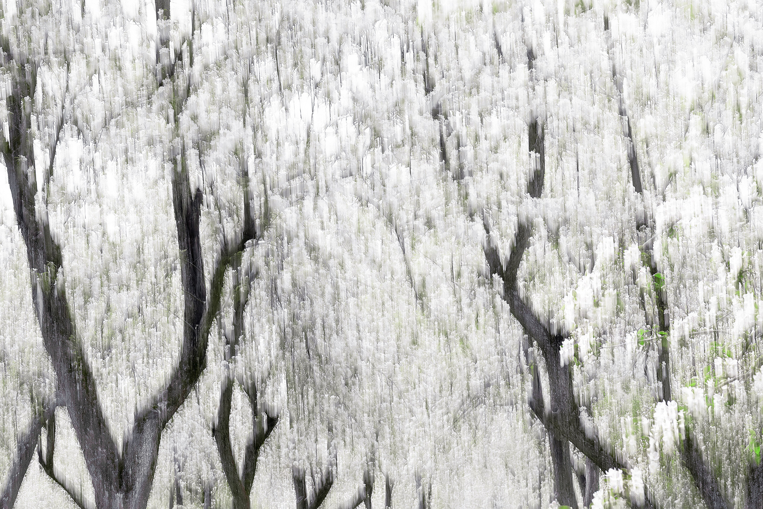 Фотограф Ольга Дунаева