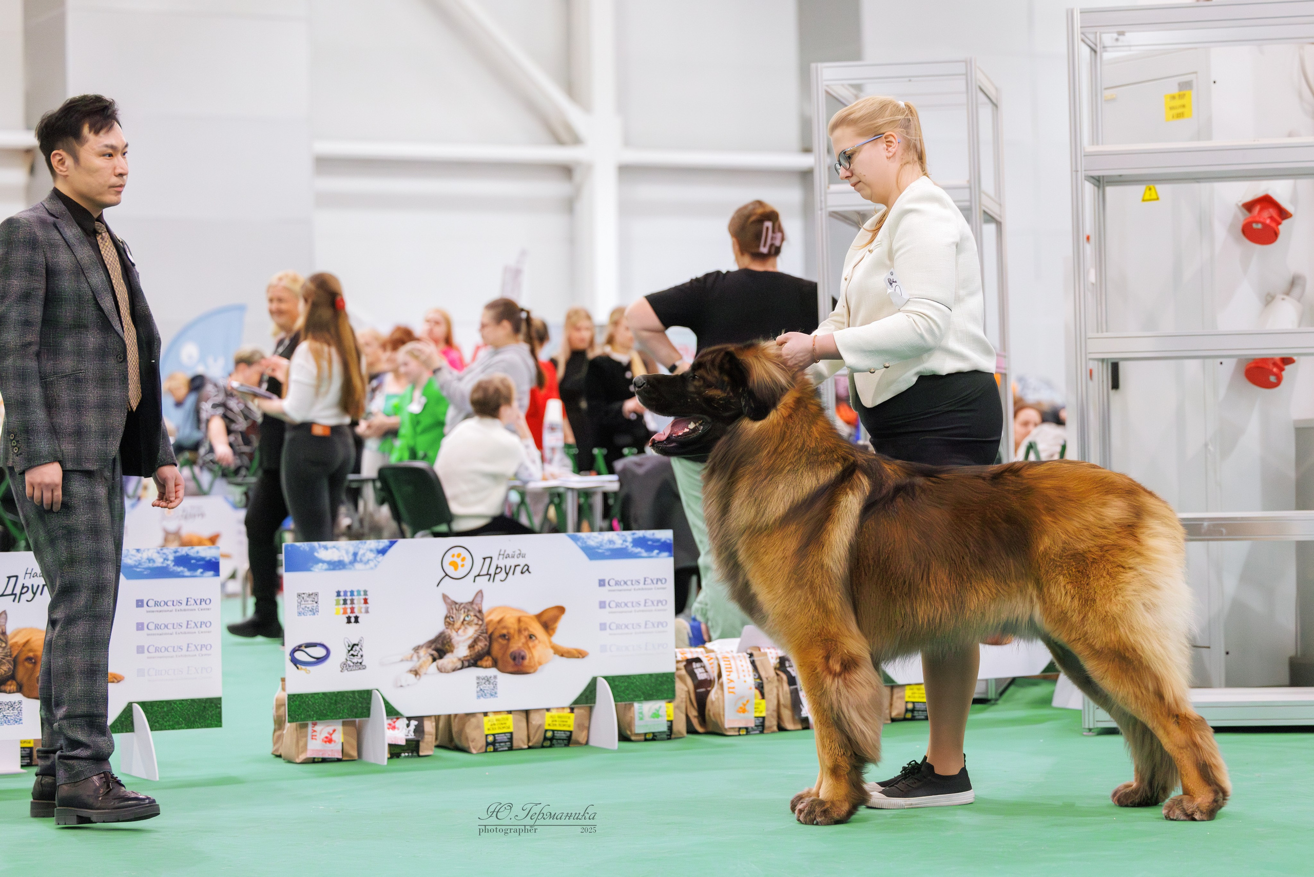 Гран-При 8.02.2025 и Крокус 09.02.2025. Фотограф-анималист Юлия Германика