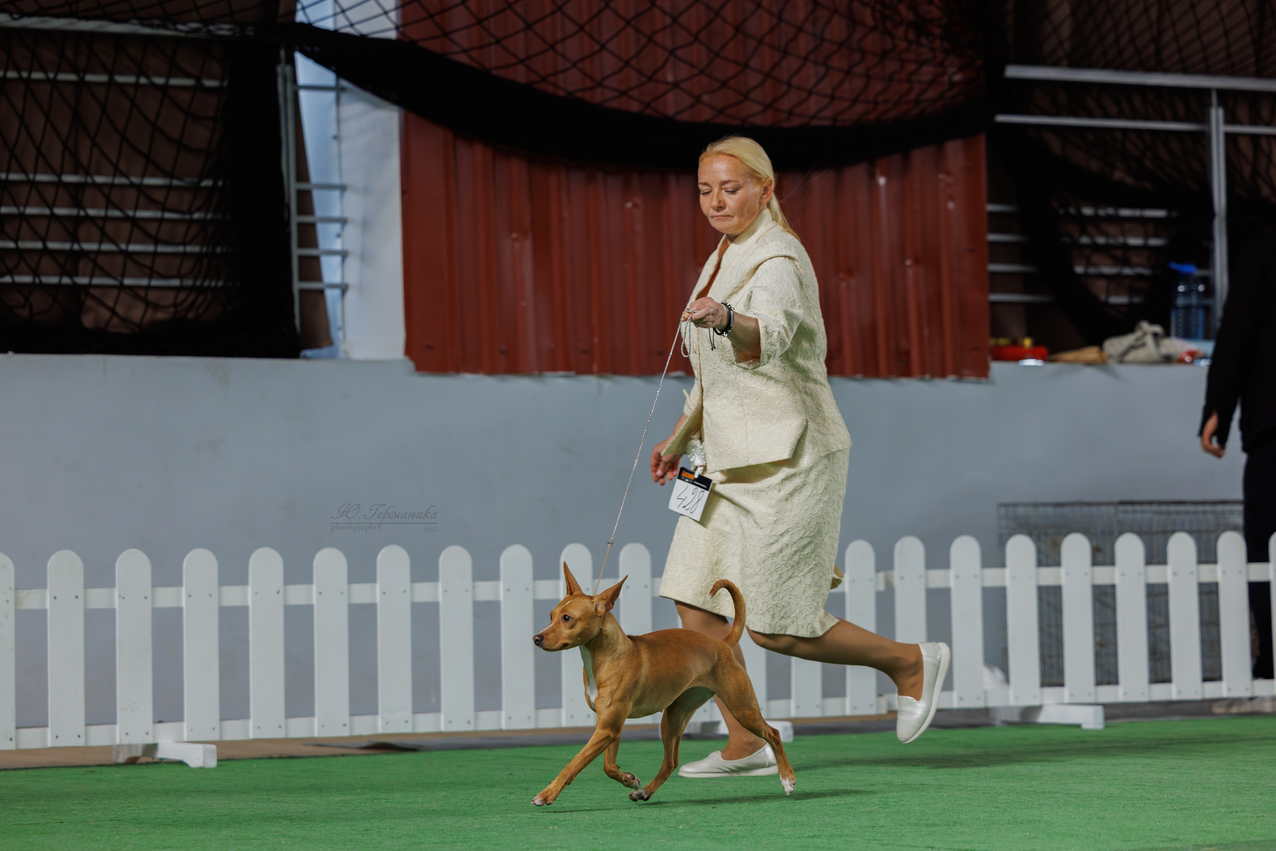 Телави 11-12.10.2025. Фотограф-анималист Юлия Германика