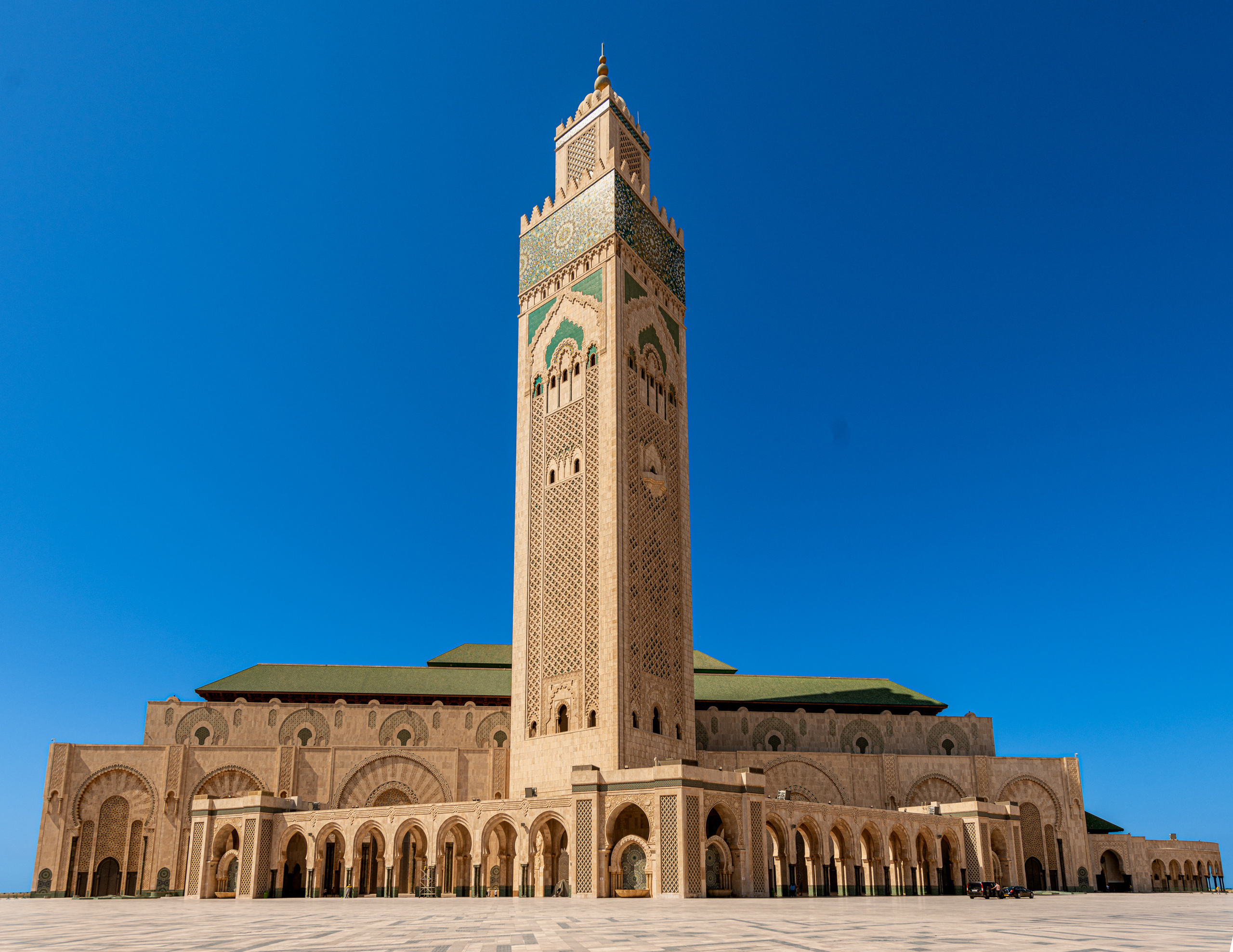 Марокко. Wildlife photography by Sergey Puponin