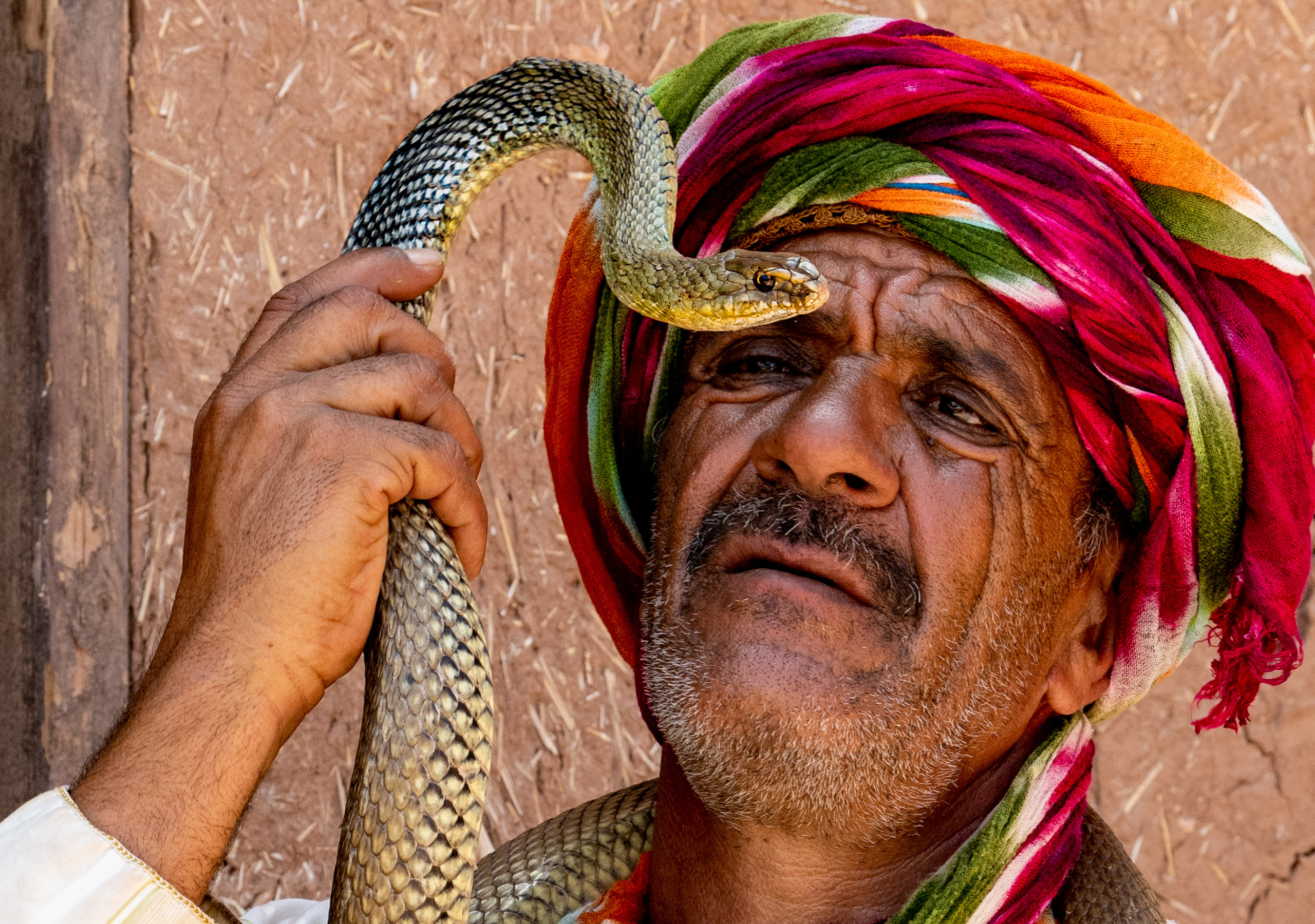 Марокко. Wildlife photography by Sergey Puponin