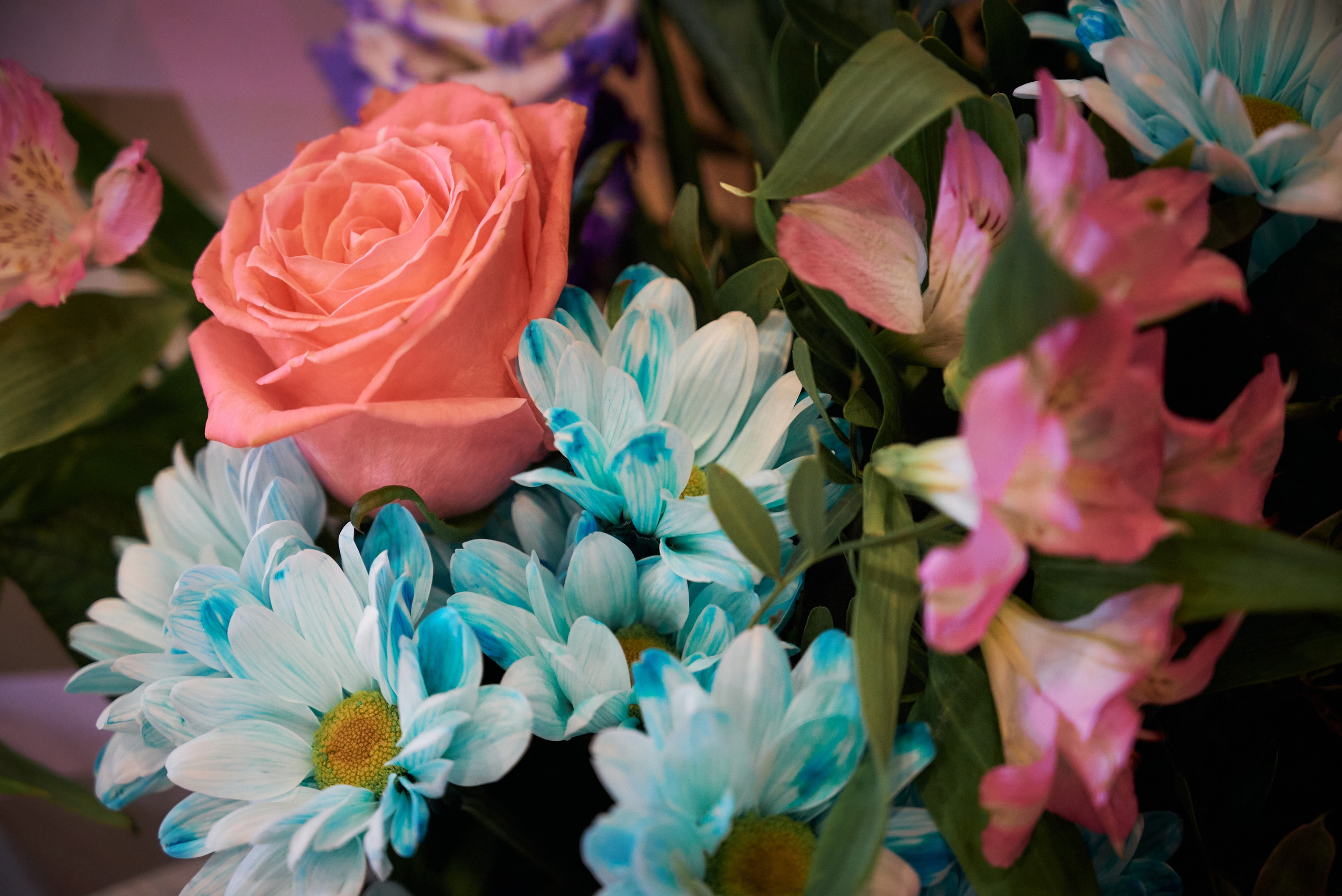 Юбилей Александры. Фотограф Зеленоград Москва