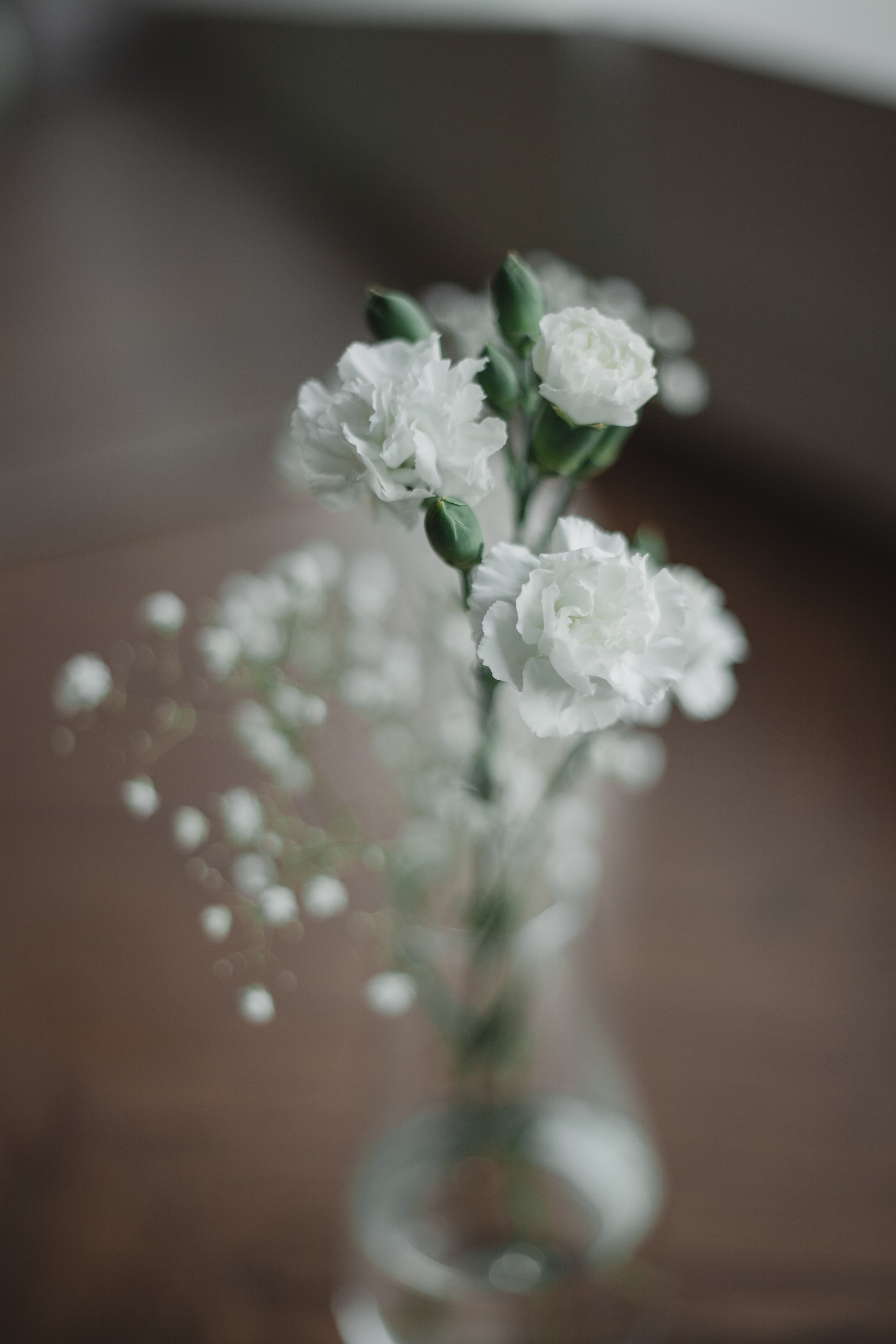 Вероника. Семейный и свадебный фотограф в Ижевске Лушникова Екатерина