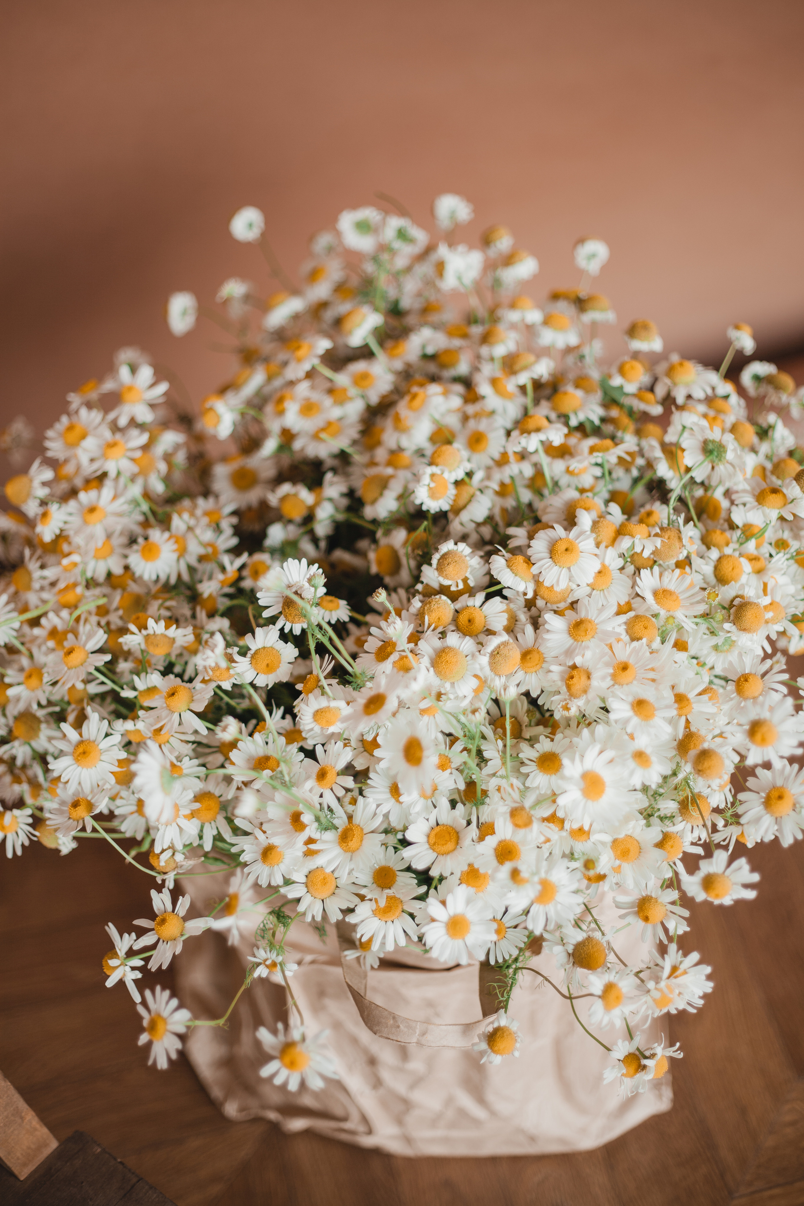 Вероника. Семейный и свадебный фотограф в Ижевске Лушникова Екатерина