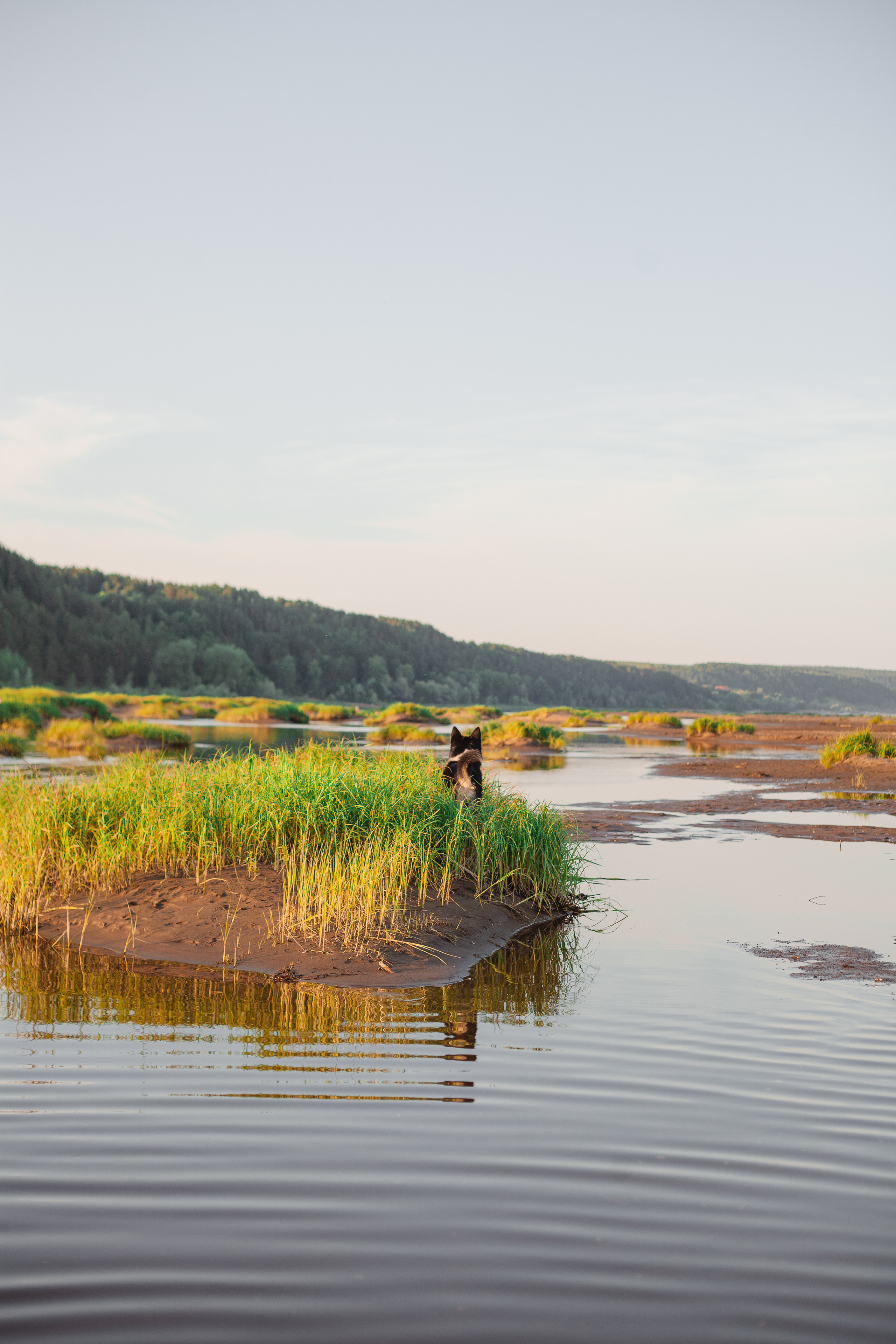 Руслан и Элиза. Семейный и свадебный фотограф в Ижевске Лушникова Екатерина