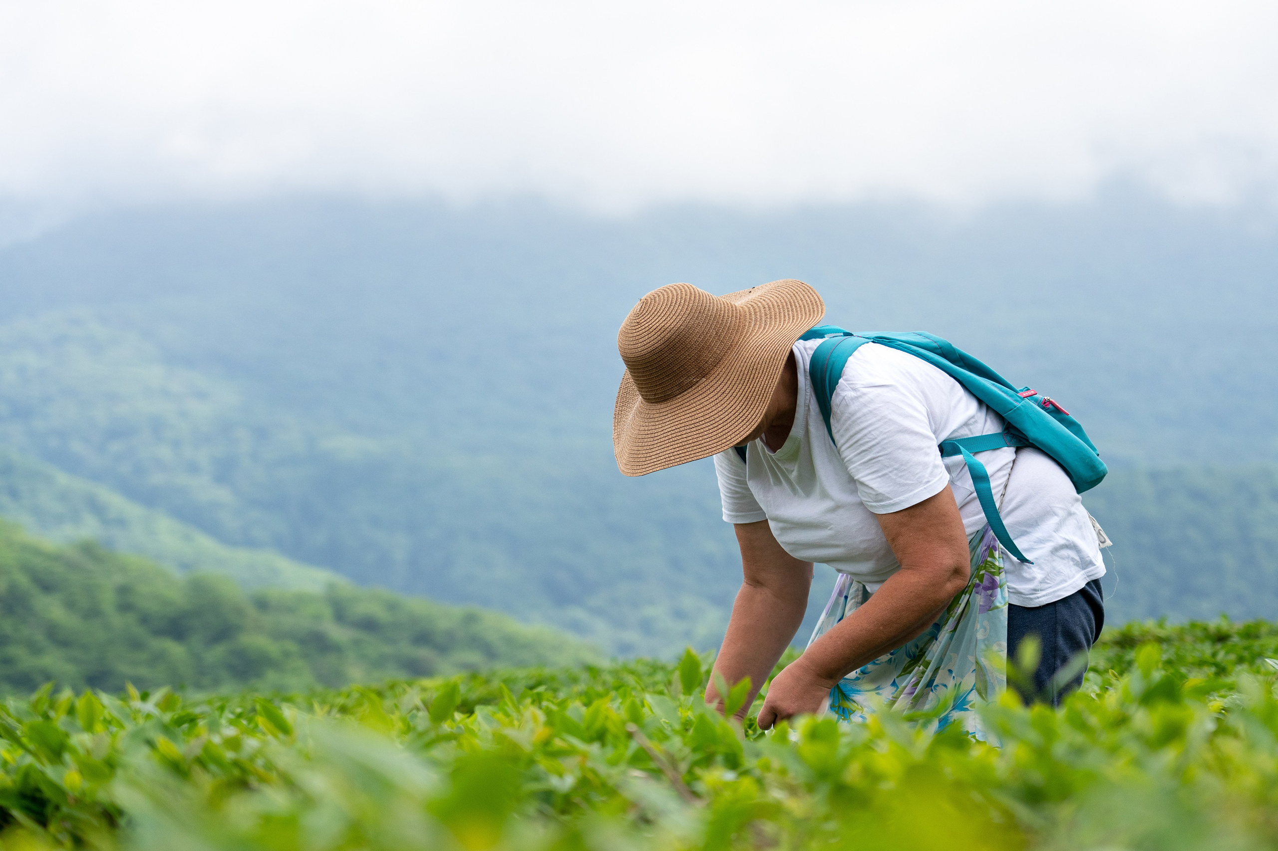 Репортажный фотограф в Сочи — профессиональная съёмка событий и мероприятий. Профессиональная фотосъемка в Сочи: репортаж, предметная, ювелирная фотосъемка, недвижимость, фуд-фотография. Фотограф Александр Афанасьев