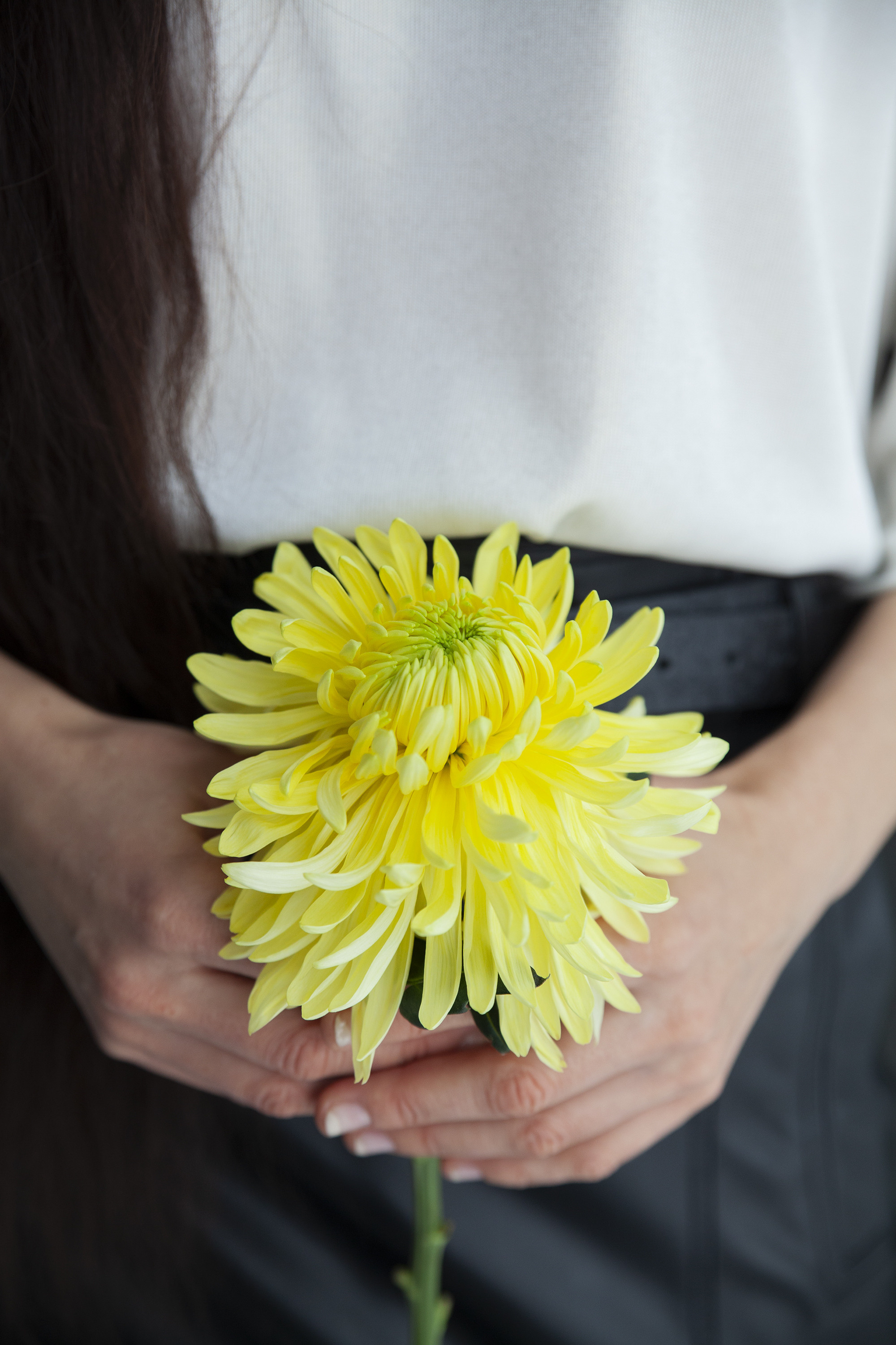 Ирина. Елена Комова Фотограф Новосибирск