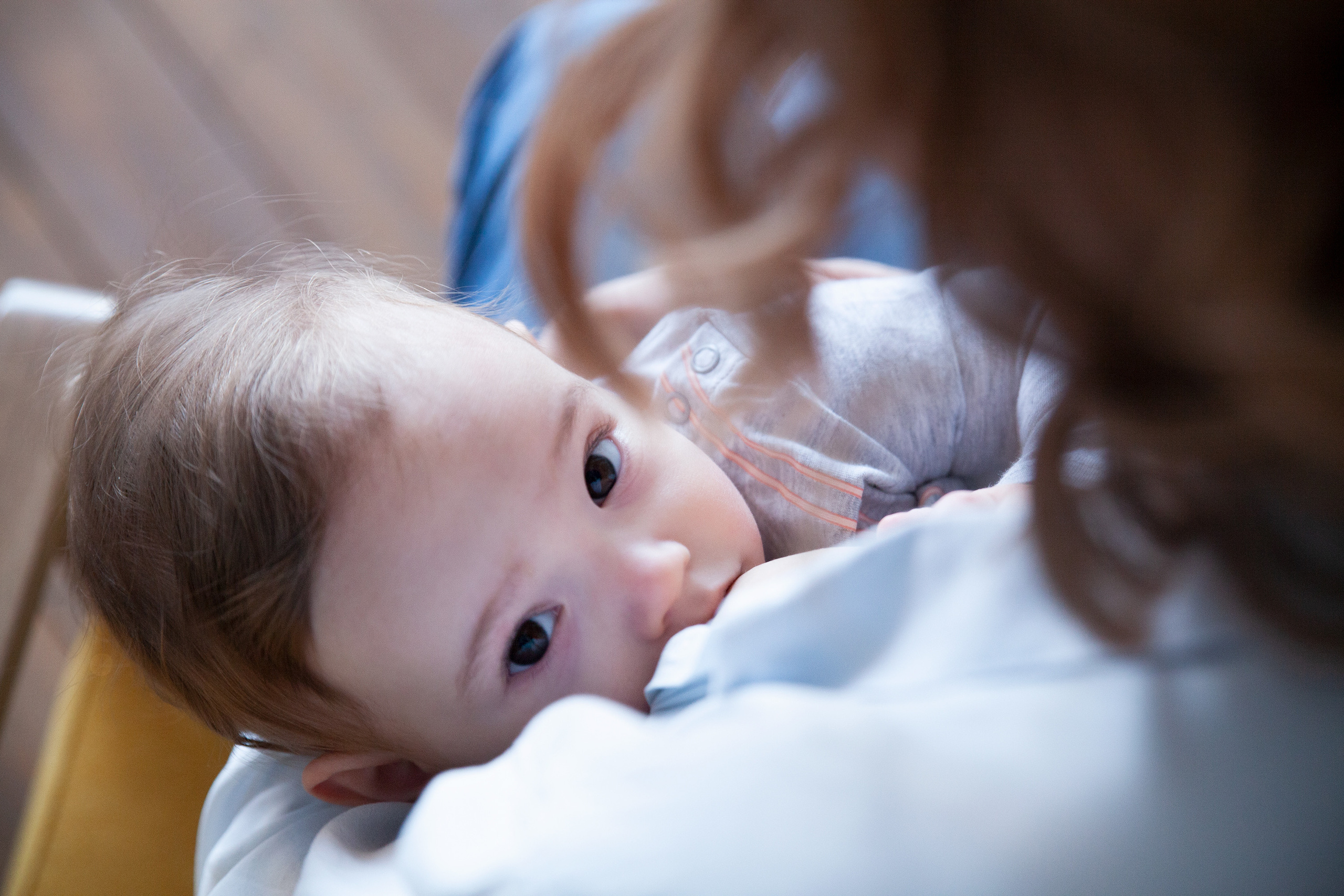 Катя, Дима и Аришка. Елена Комова Фотограф Новосибирск