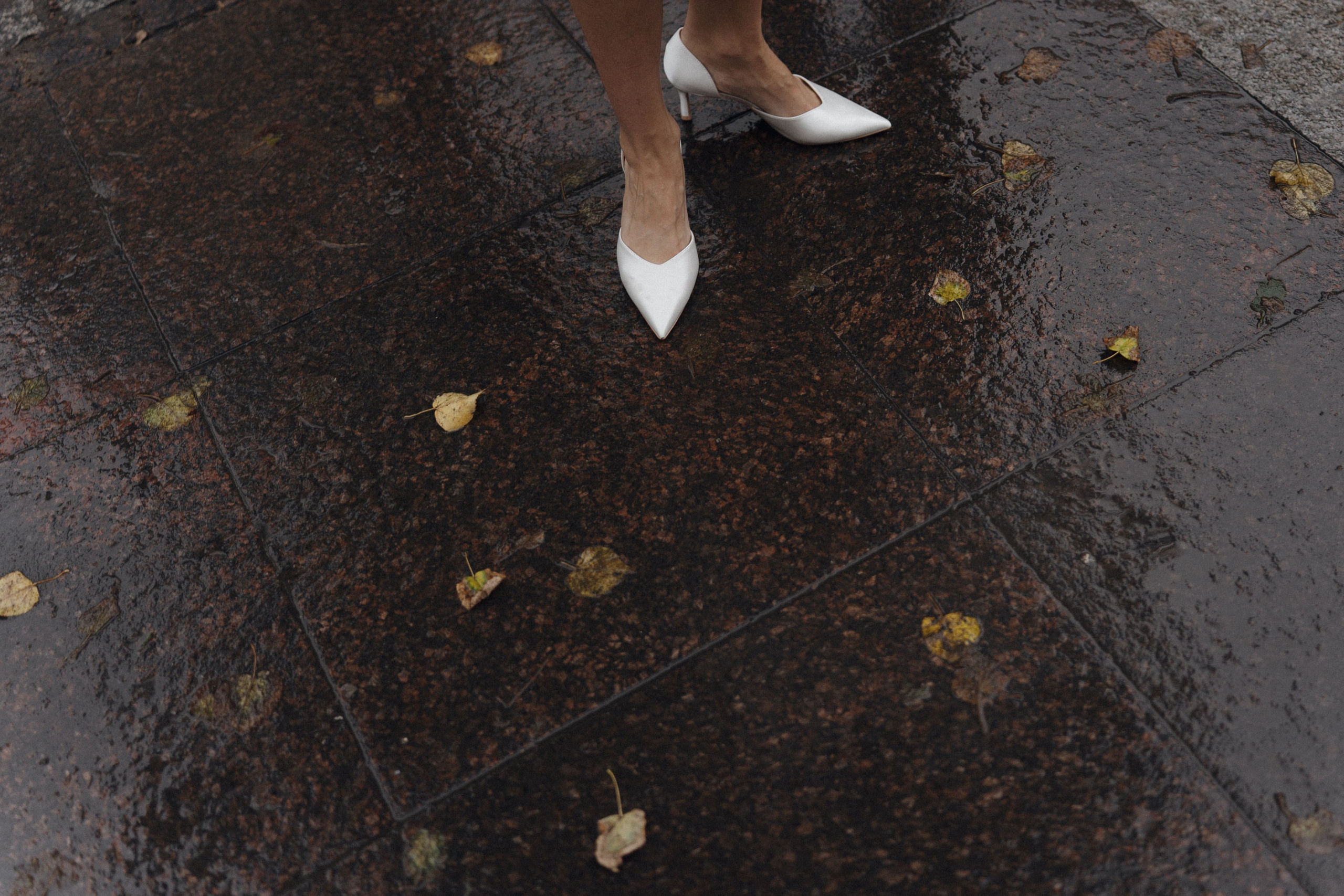 Европа в Сезонах. Фотограф в Санкт-Петербурге Александр Дымов