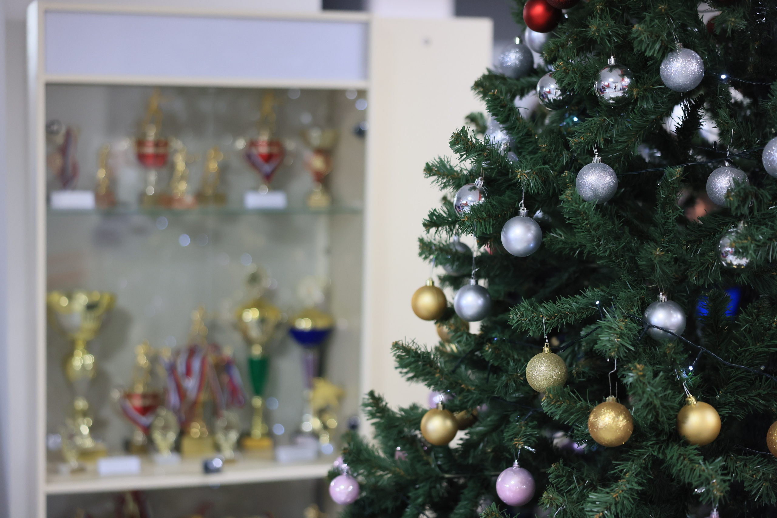 Плавание в ластах (разные годы, более 10 репортажей выборка пополняемая). Фотограф в Туле Крупский АнДРей. Фотостудия «КАДР71» в Туле