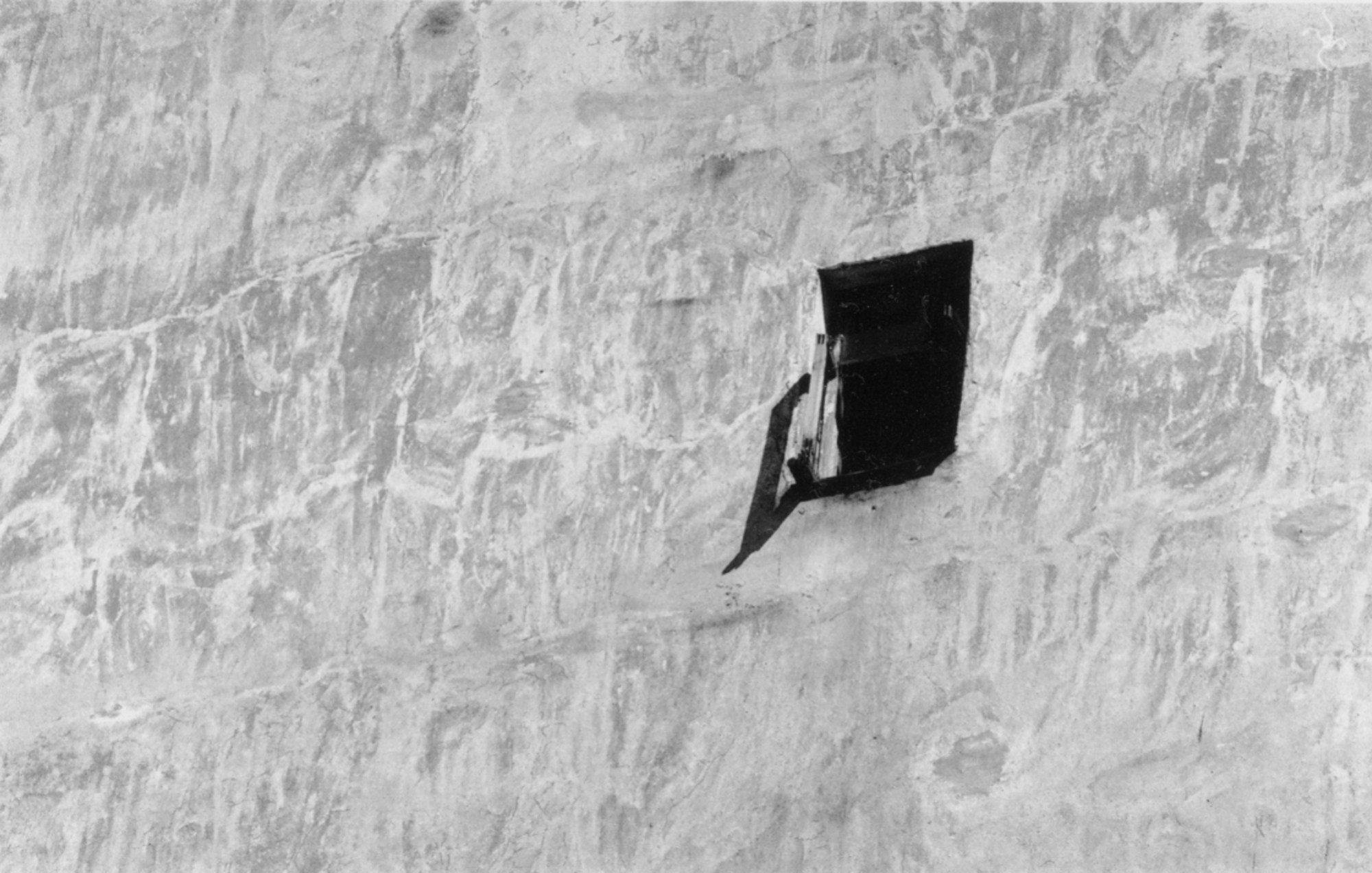 Art Series. Елена Цихон художник фотографии и мастер фото-ДНК