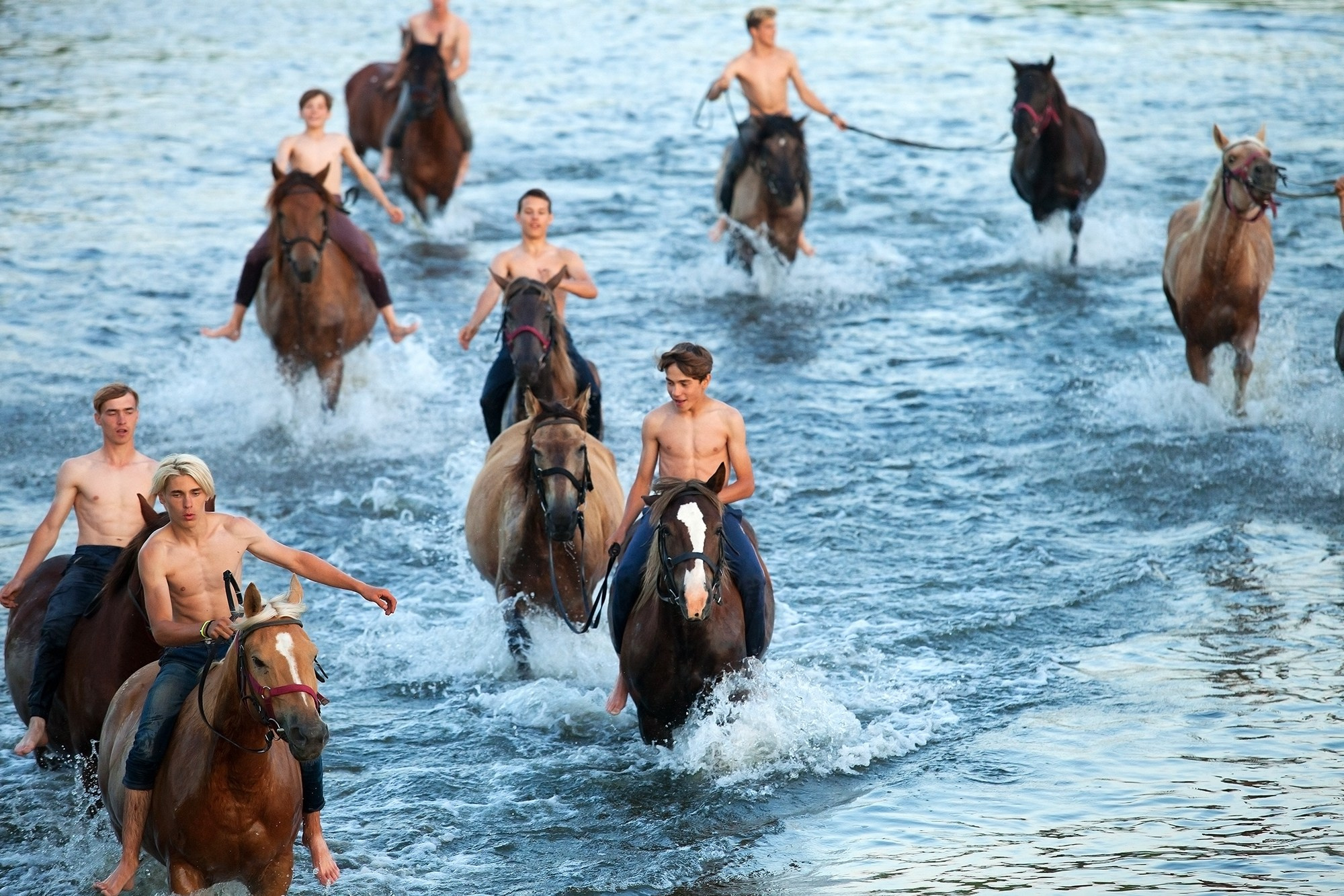 Люди. Фотограф-анималист Юлия Удовенко