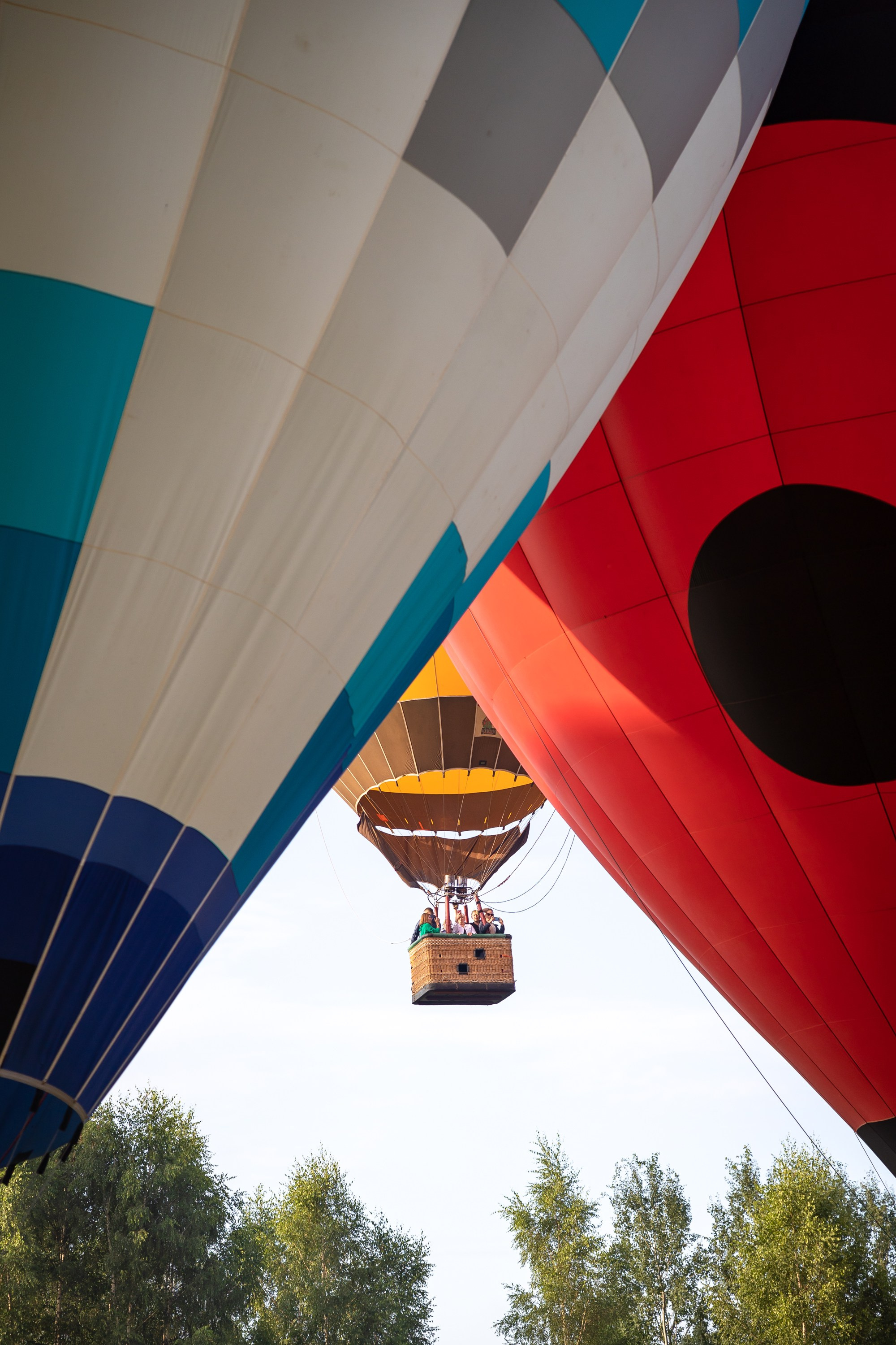 23-й фестиваль воздухоплавания «Золотое кольцо России» в Переславле-Залесском. Фотограф Владимир Охрименко
