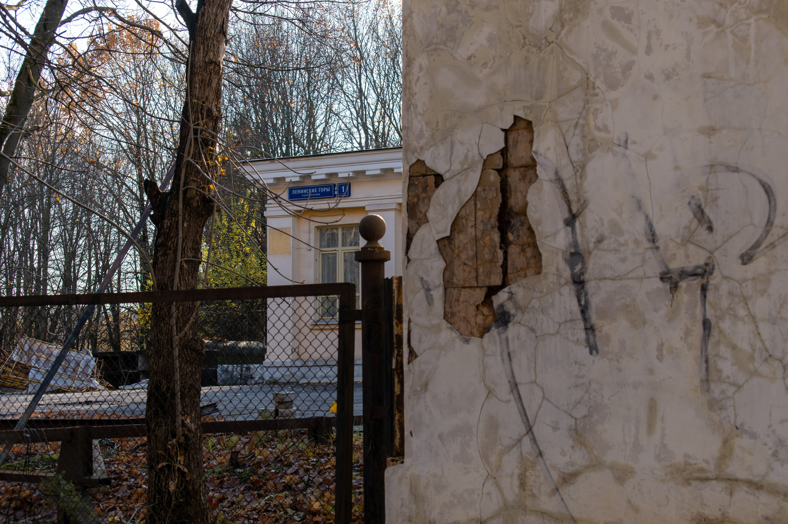 20241102 МГУ. Дмитрий Ремизов. Фотография, как хобби