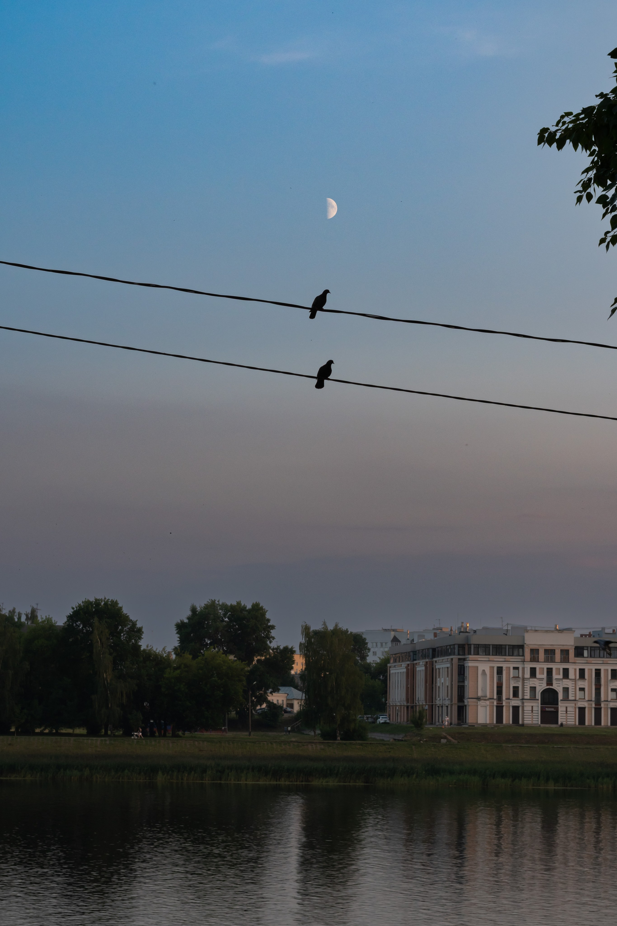 20220805 Старица и Тверь. Дмитрий Ремизов. Фотография, как хобби