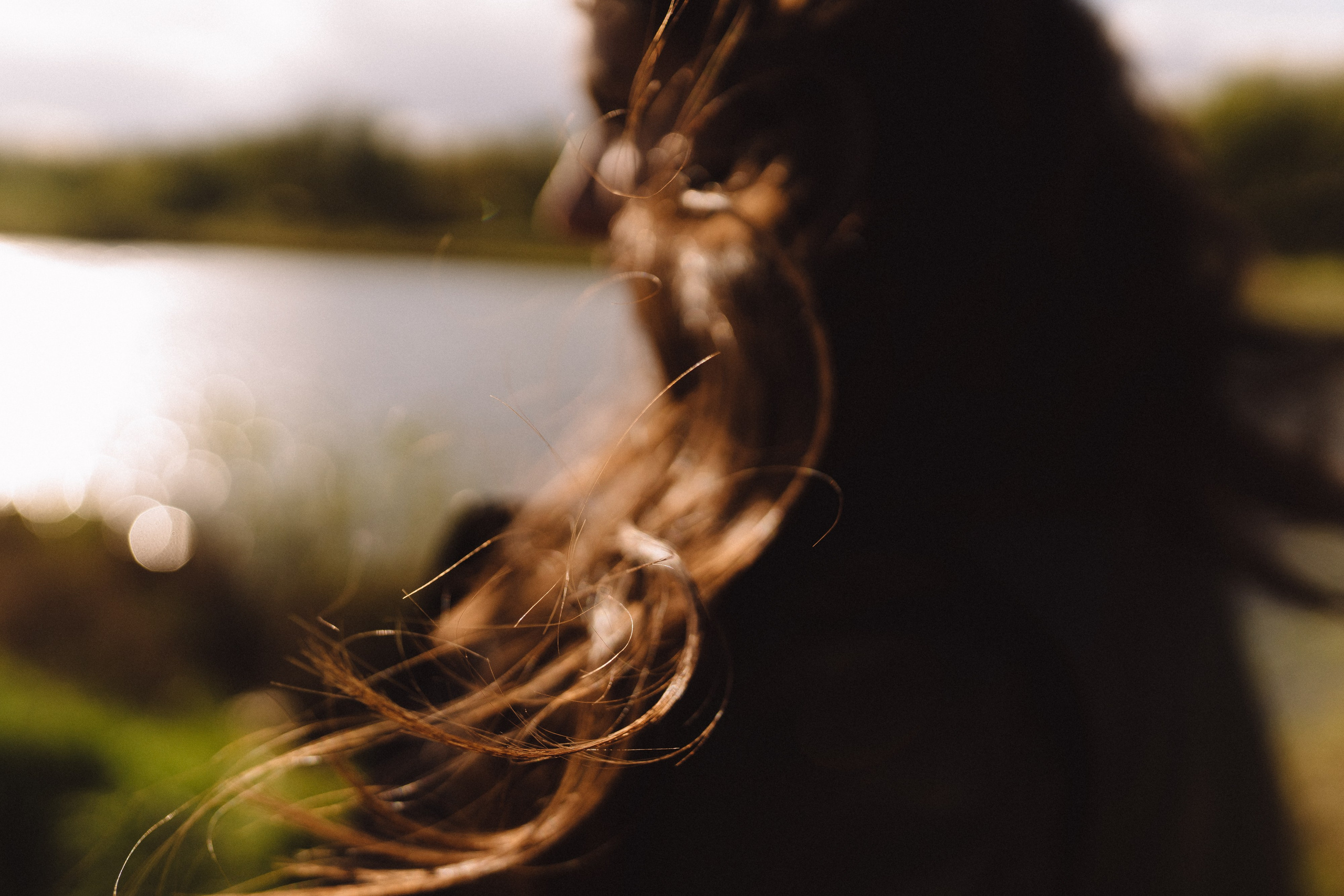 На ковре-самолете, мимо радуги. Андрейко Надежда