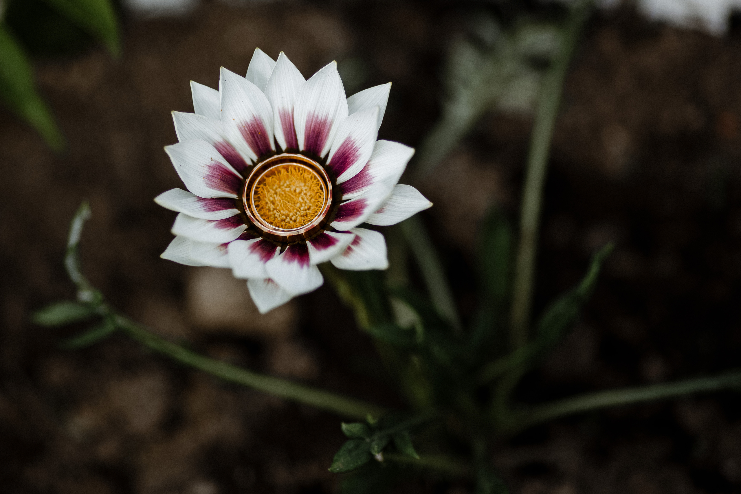 Полина и Илья. Фотограф Светлана Голицына