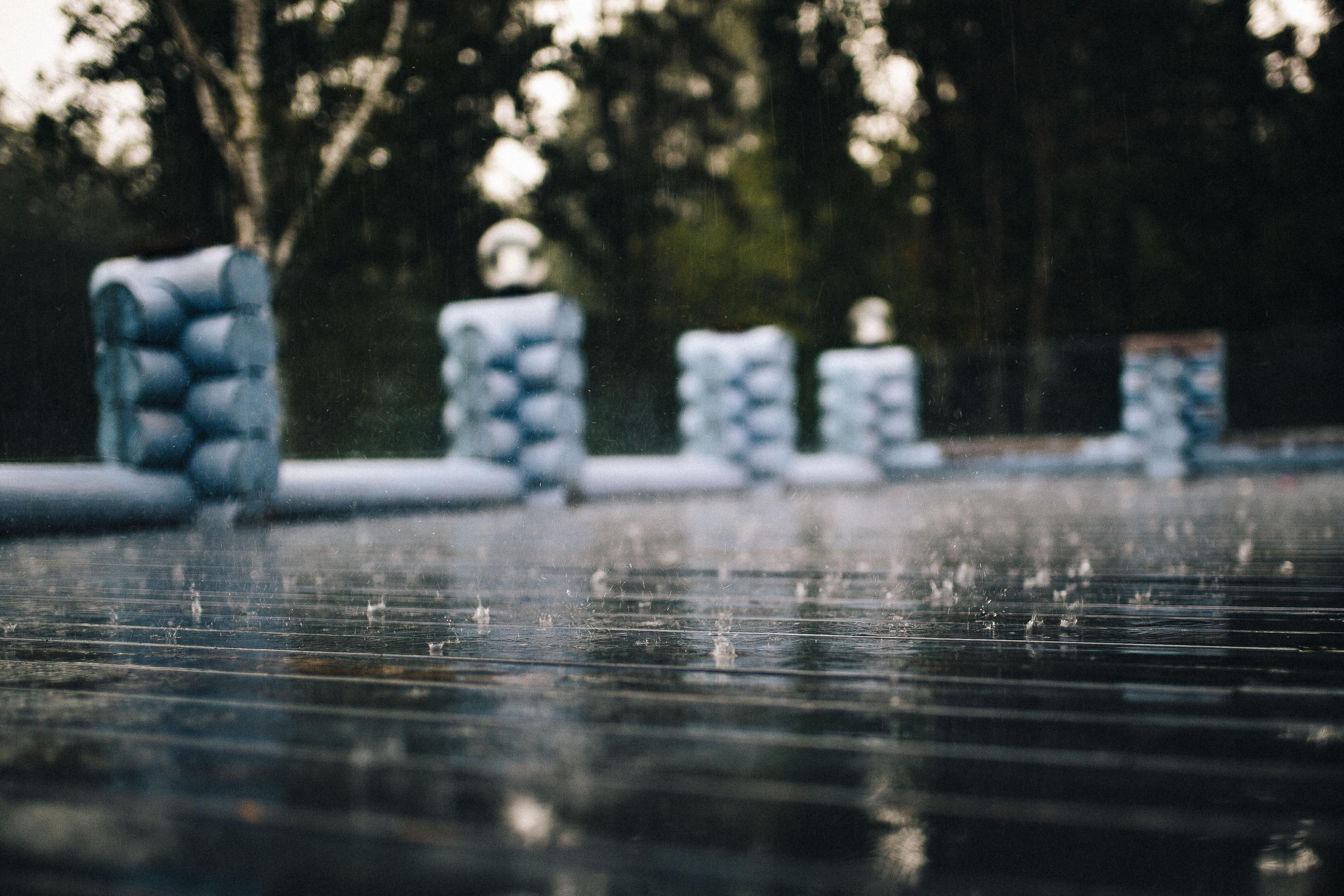 Яна и Макс. Фотограф Светлана Голицына