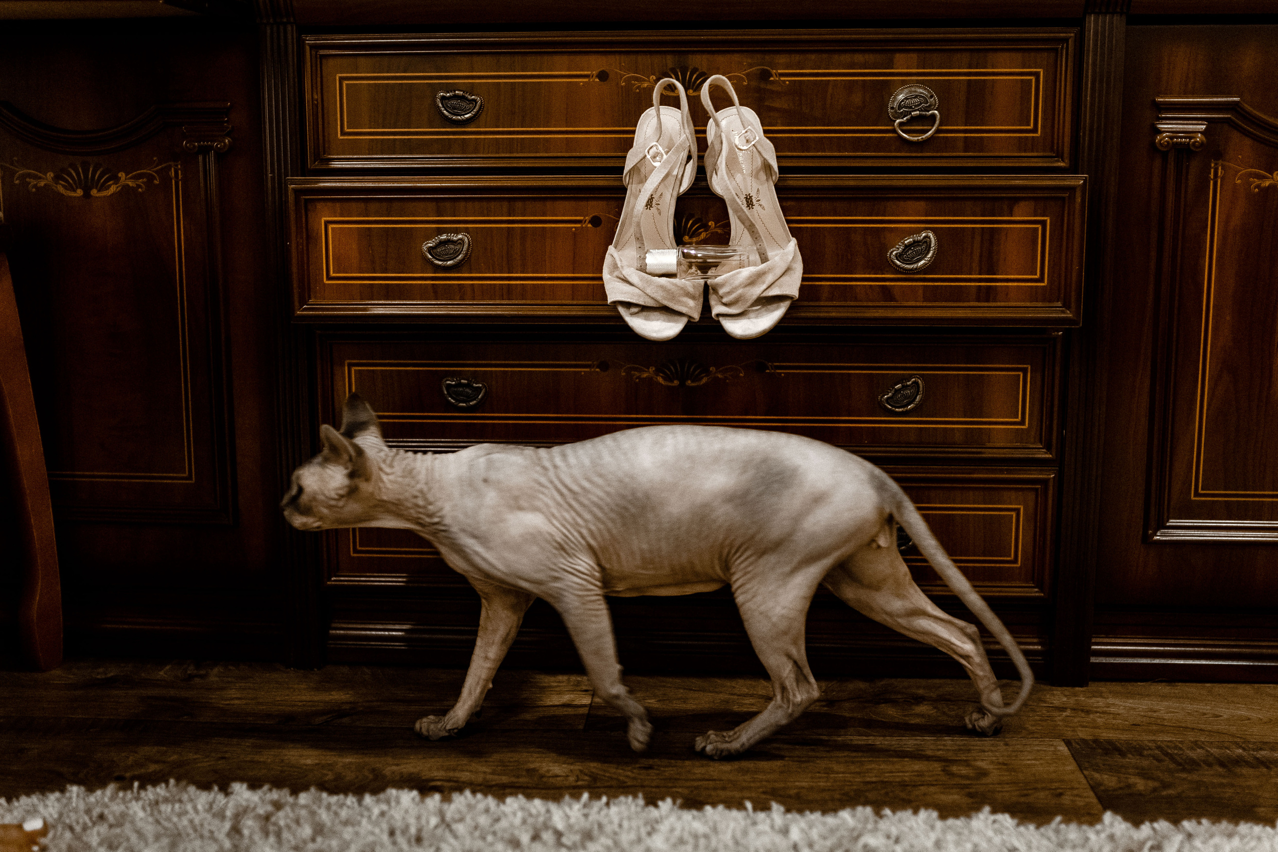 Полина и Илья. Фотограф Светлана Голицына