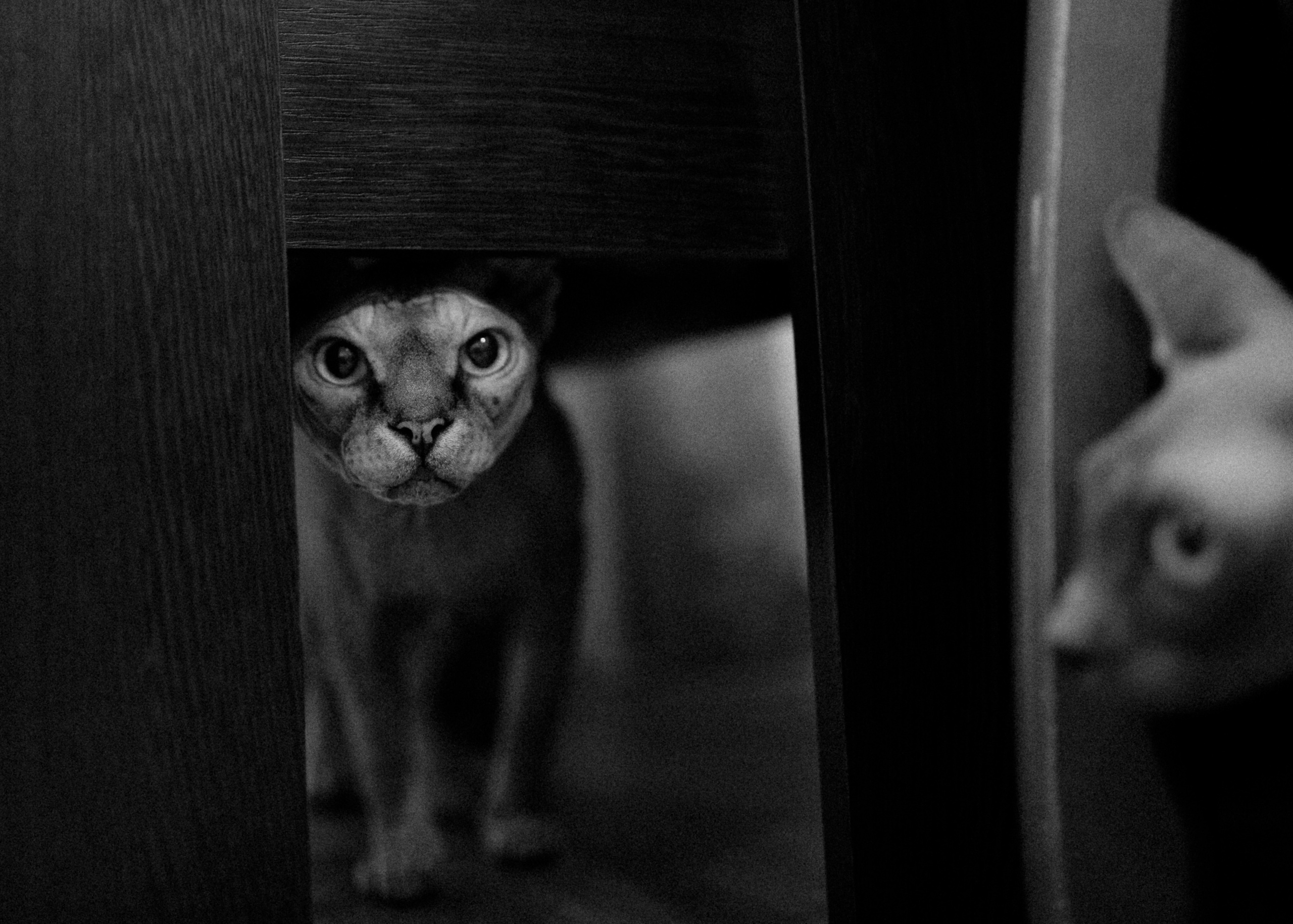 Полина и Илья. Фотограф Светлана Голицына