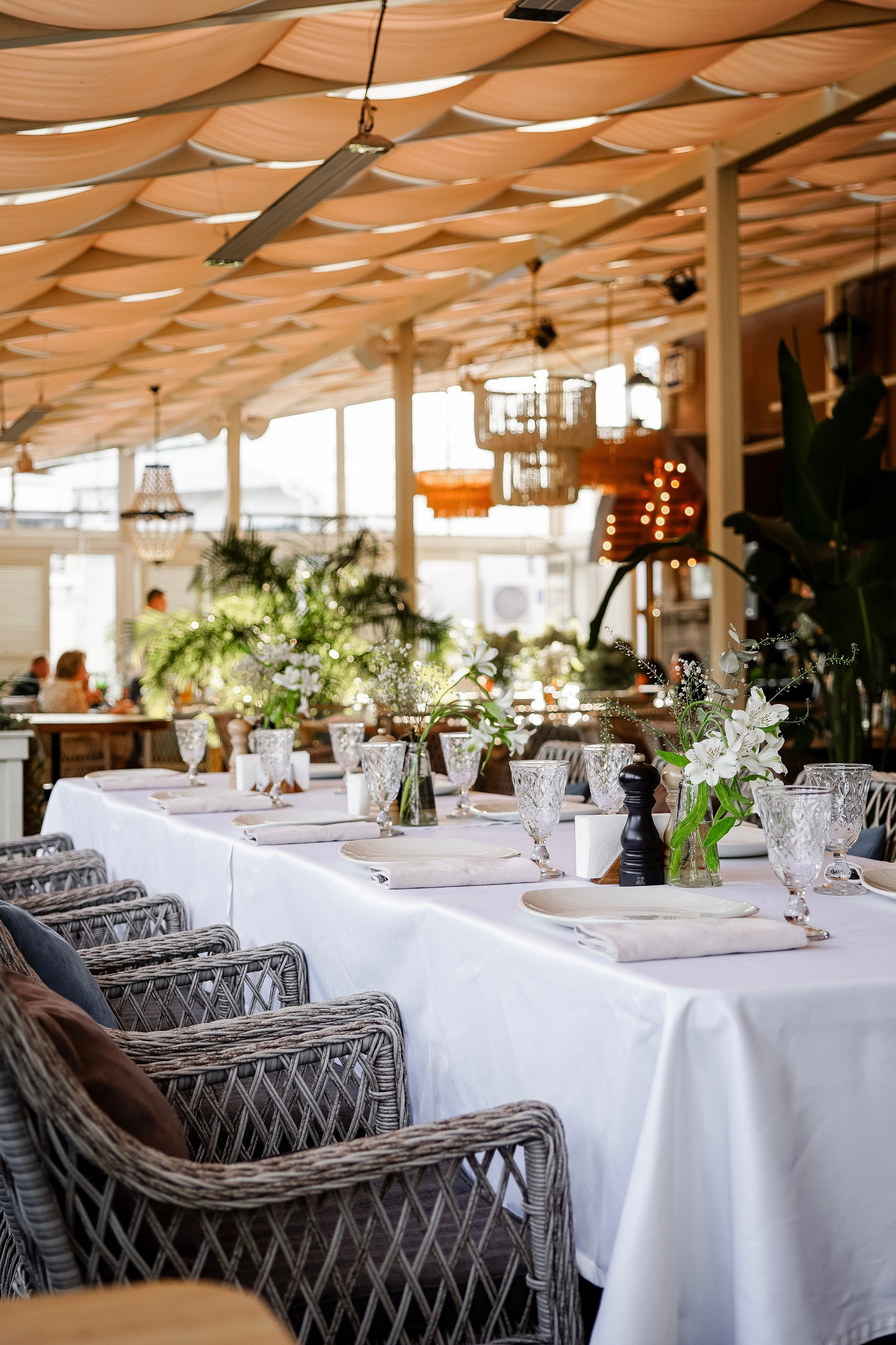 Marani. AMODEO STUDIO