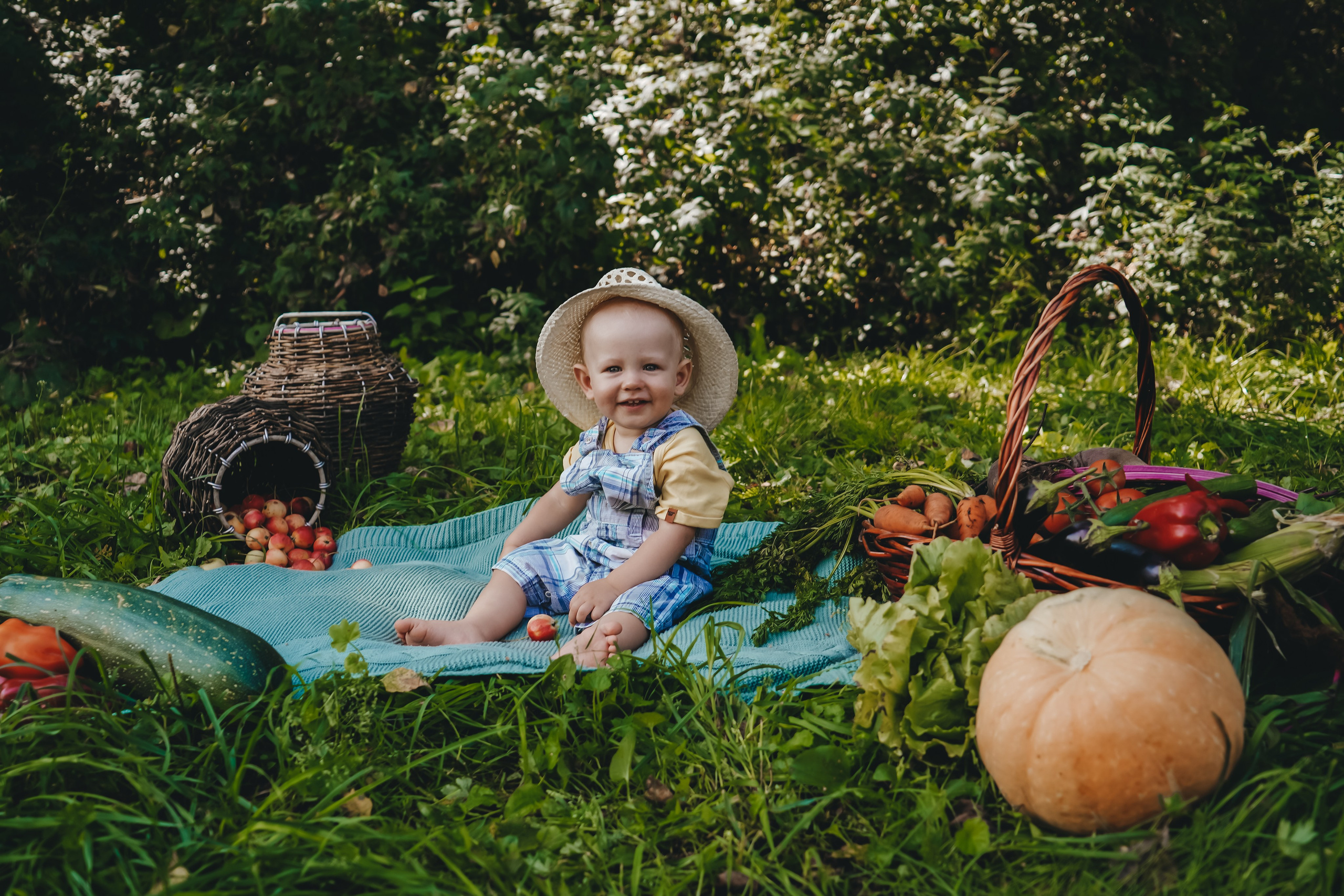 Аня и Рома: маленький фермер. Главная