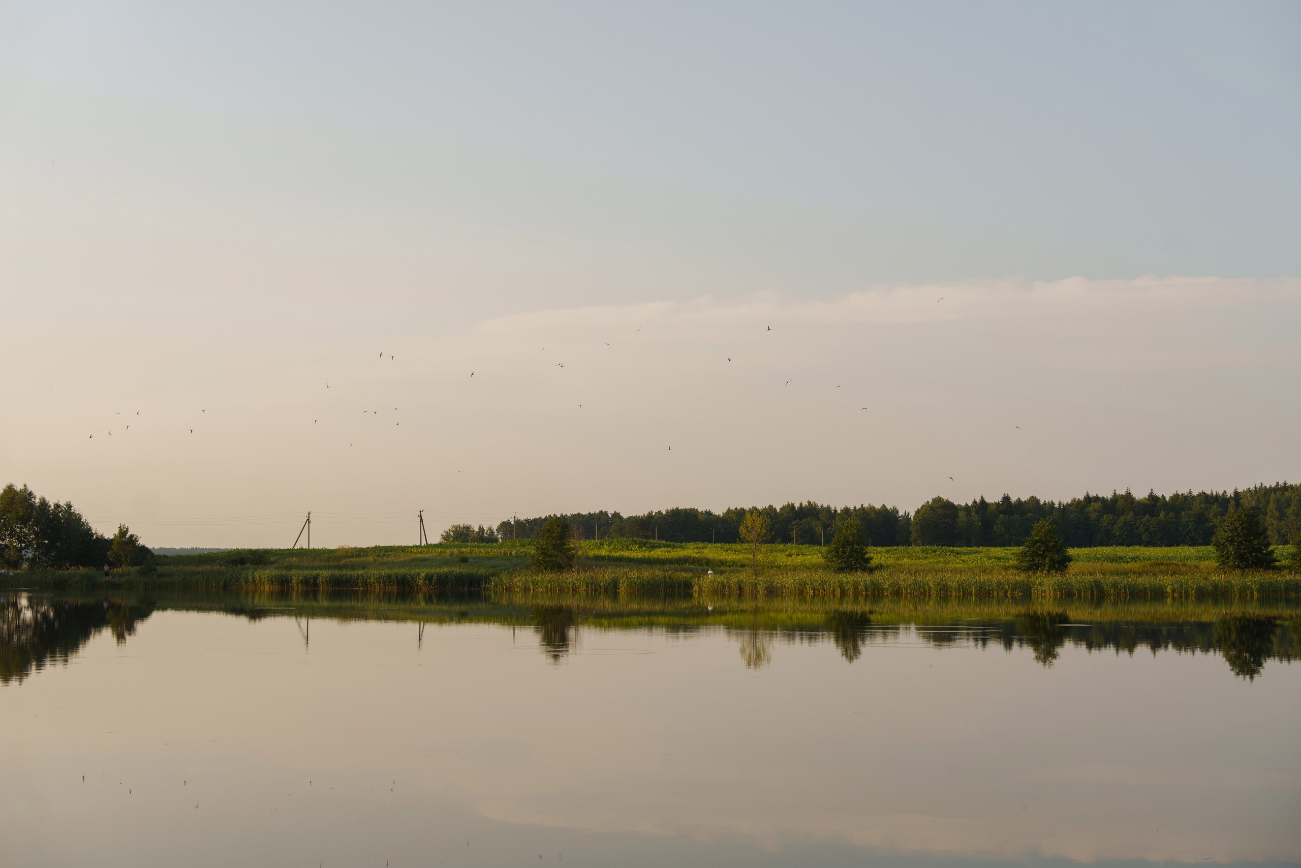 Михаил и Ольга (банкетная часть г. Брянск). Свадебный и репортажный фотограф Элина Козырьянова